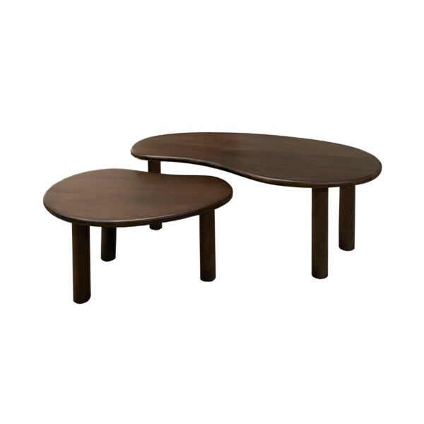 21358 Brix Nubi Brown Set of 2