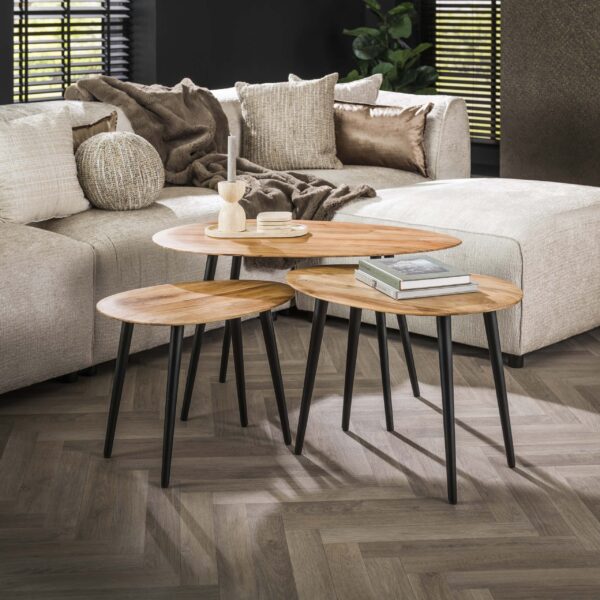 2272_15_1 Salontafel Organic set/3