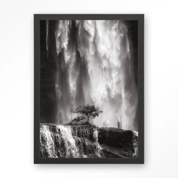 23013-germinate-art-print-wooden-frame-black Germinate - Art print