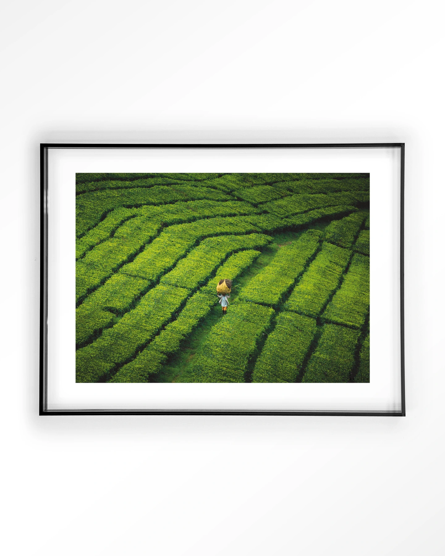 Tote pengalengan - Art print - Afbeelding 9