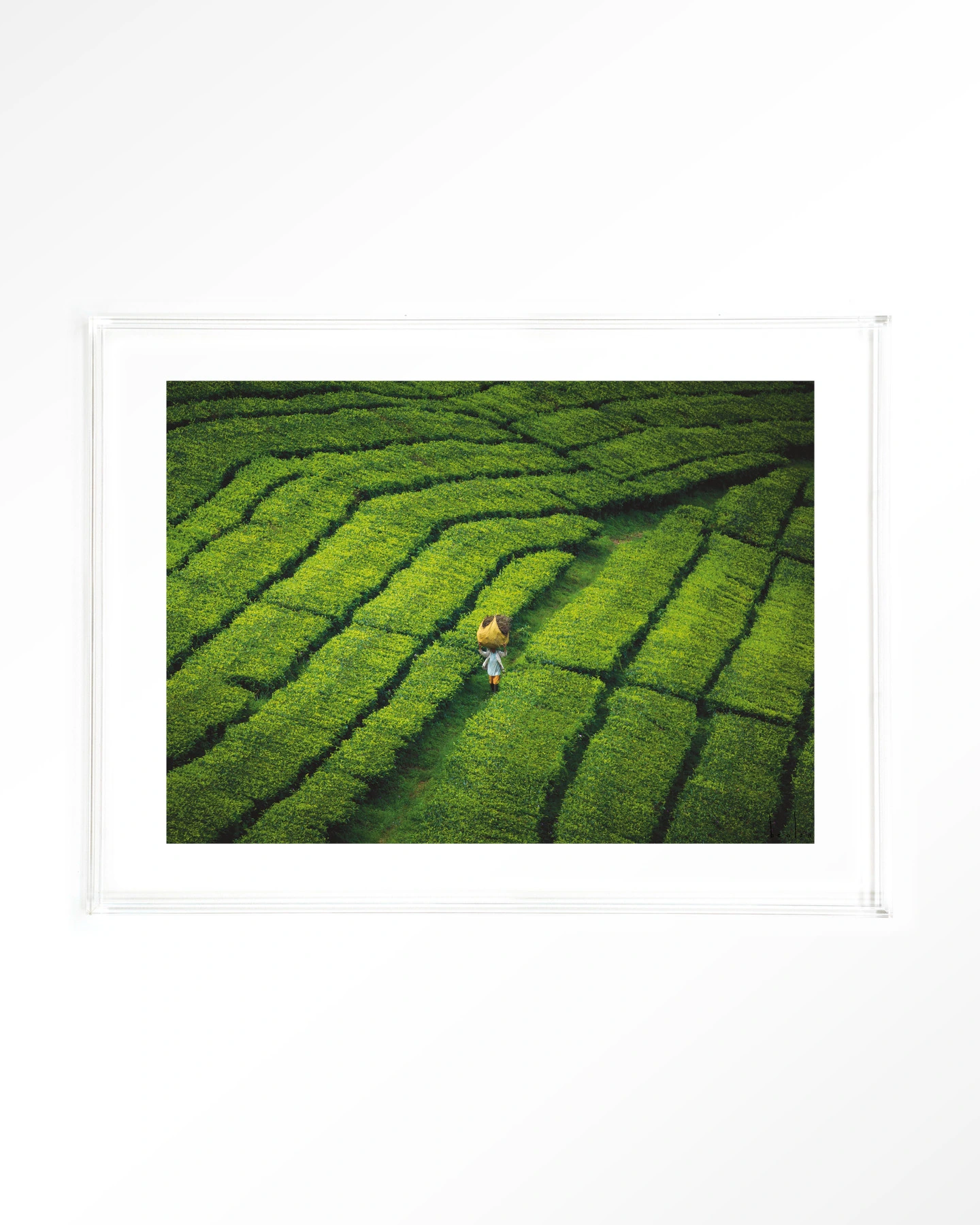 Tote pengalengan - Art print - Afbeelding 10