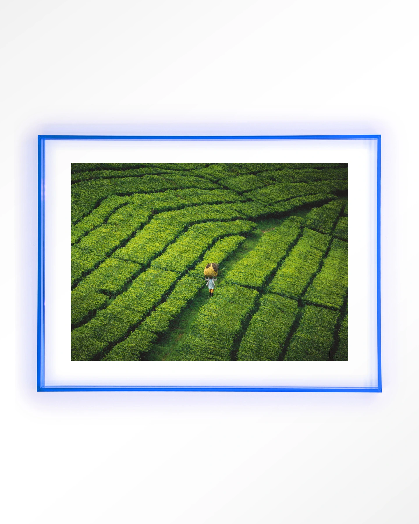 Tote pengalengan - Art print - Afbeelding 11
