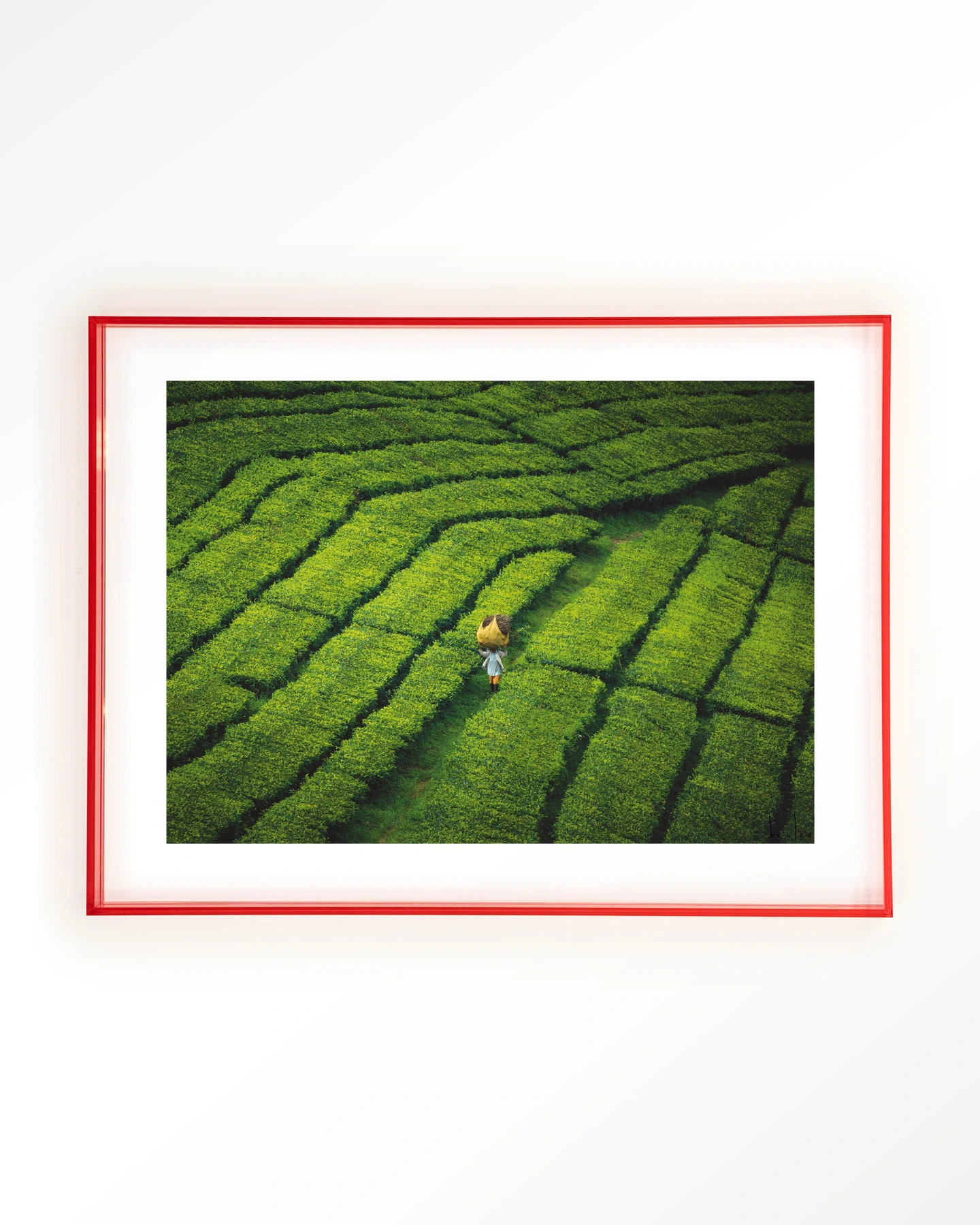 Tote pengalengan - Art print - Afbeelding 12