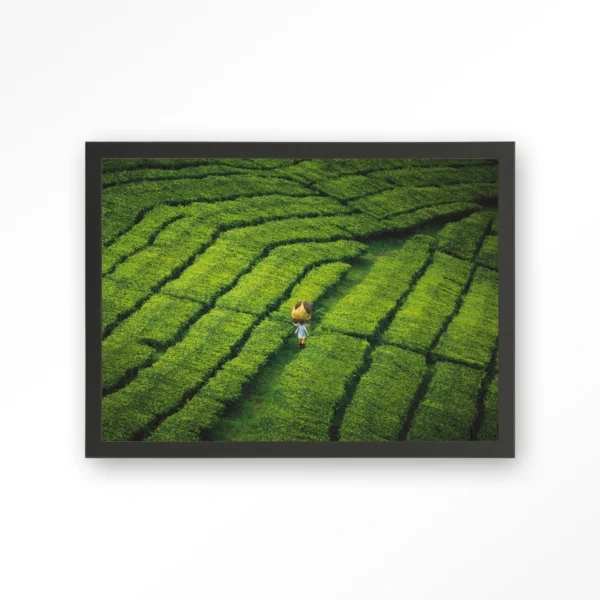 23016-tote-pengalengan-art-print-wooden-frame-black Tote pengalengan - Art print