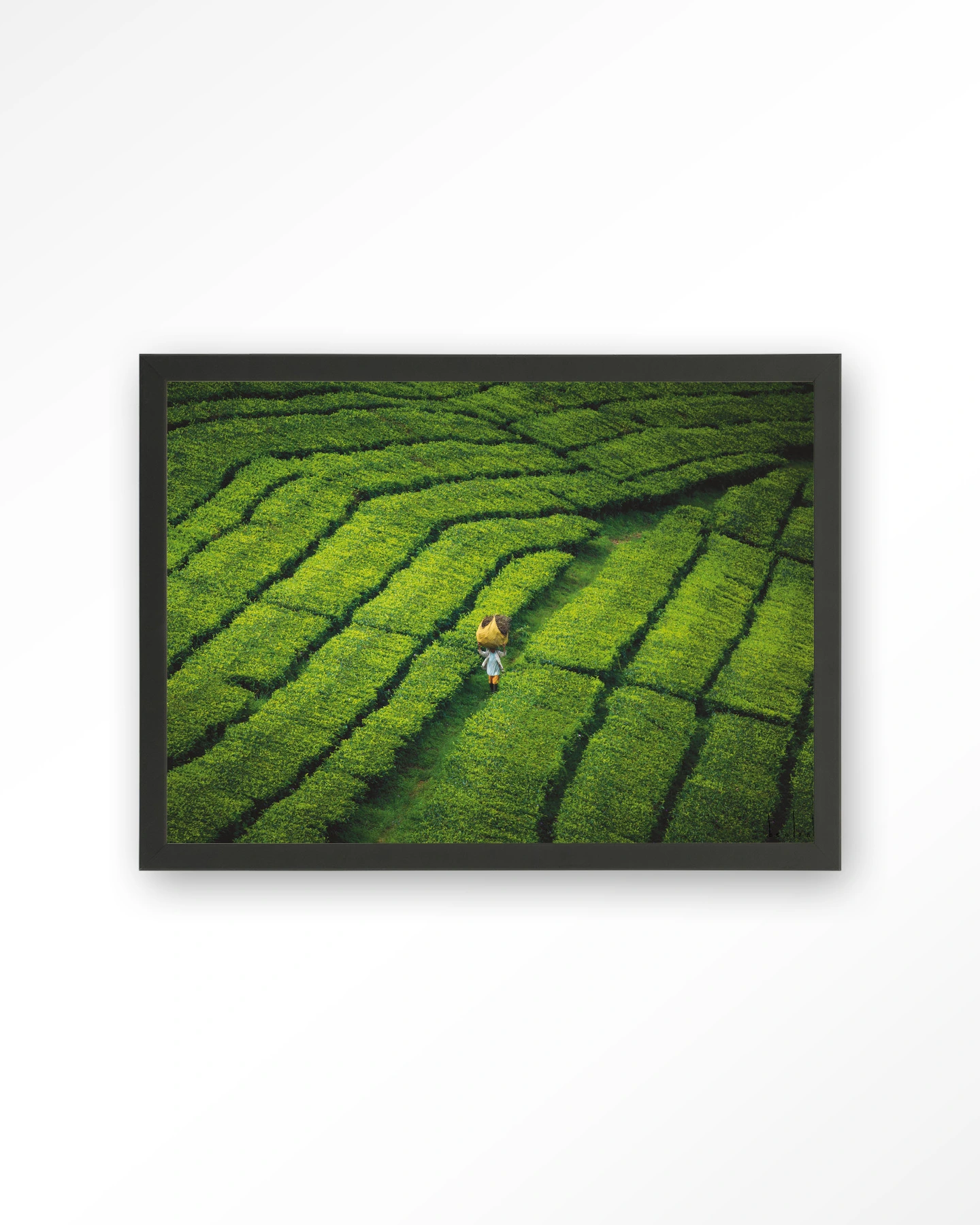 Tote pengalengan - Art print