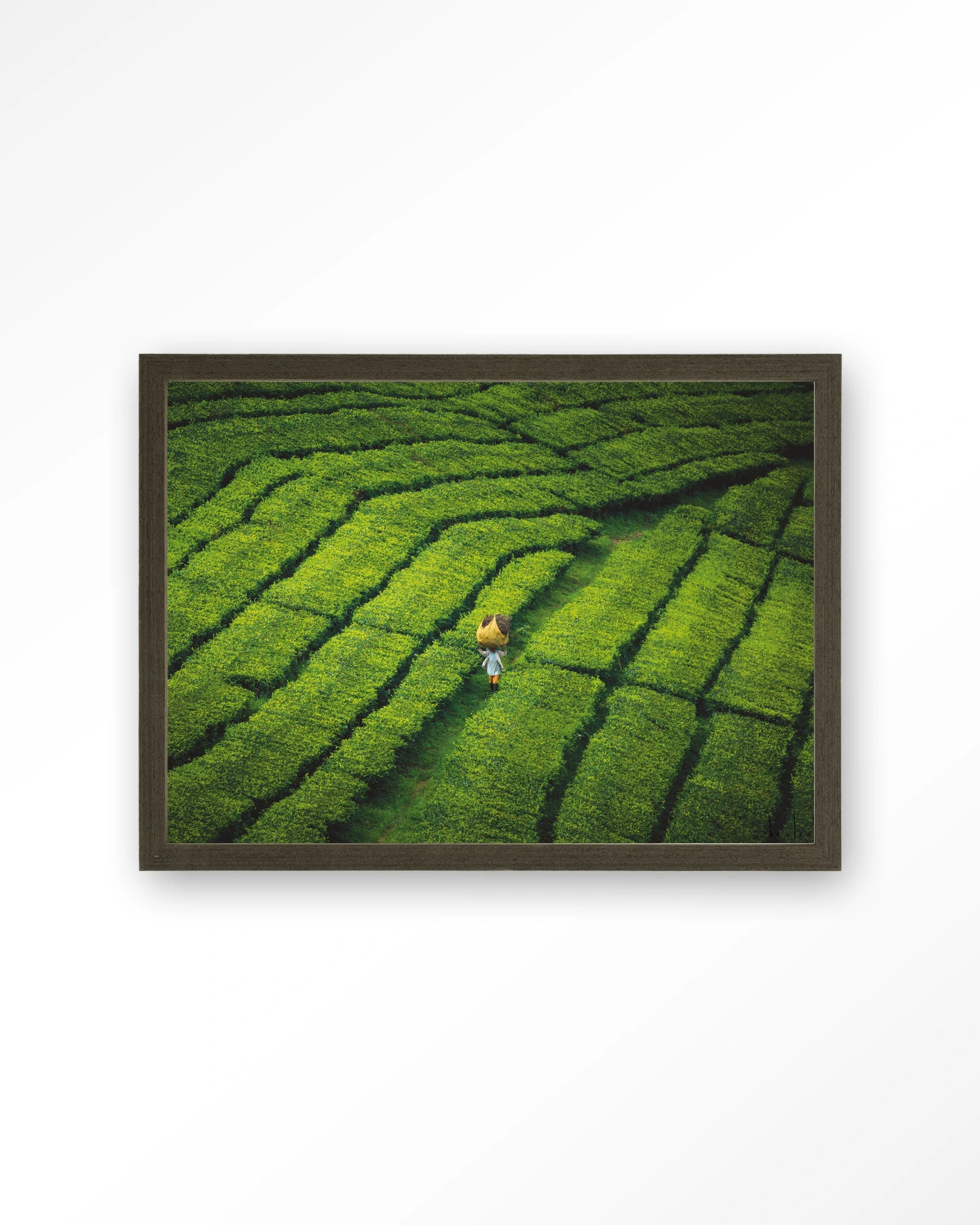 Tote pengalengan - Art print - Afbeelding 3