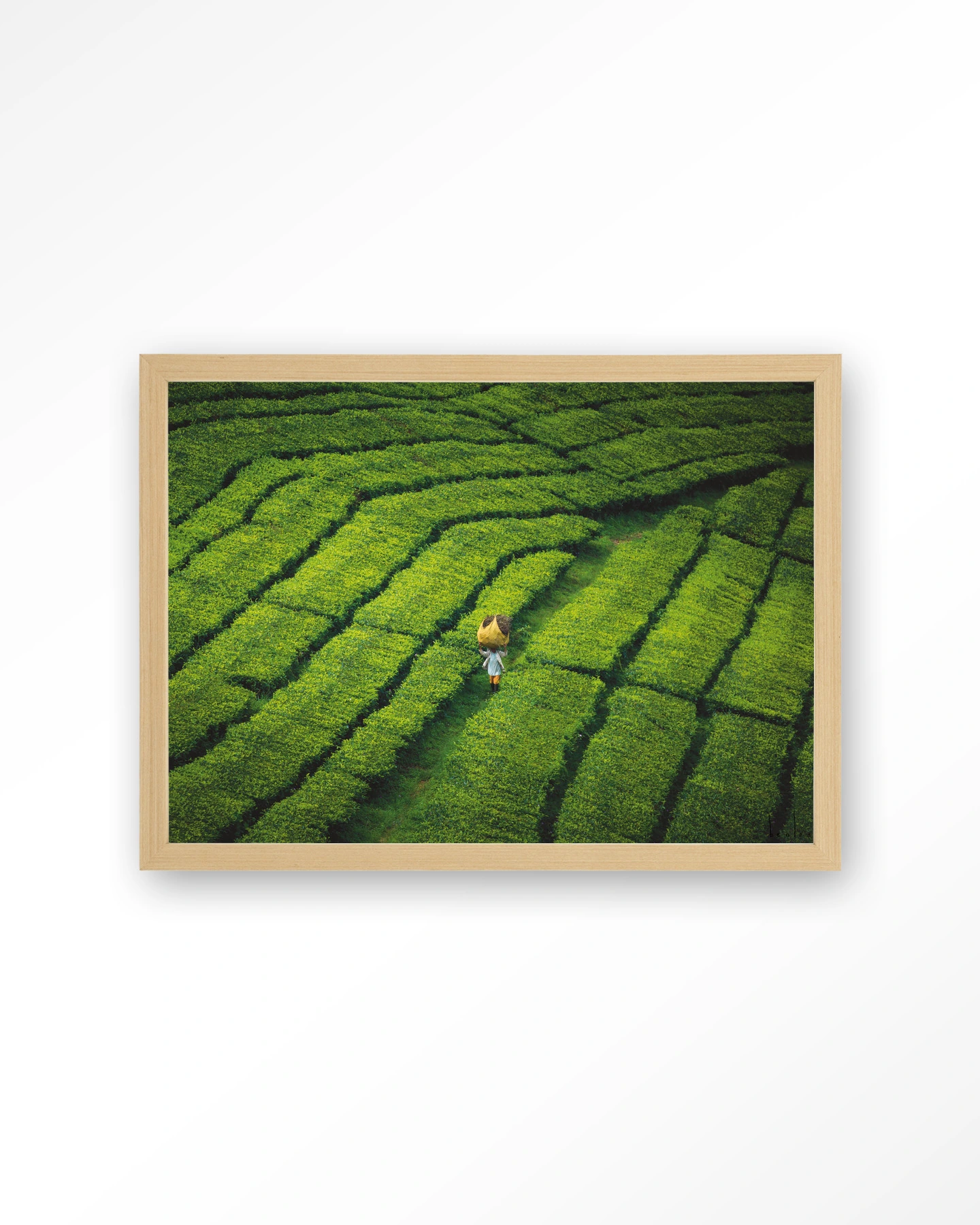 Tote pengalengan - Art print - Afbeelding 4