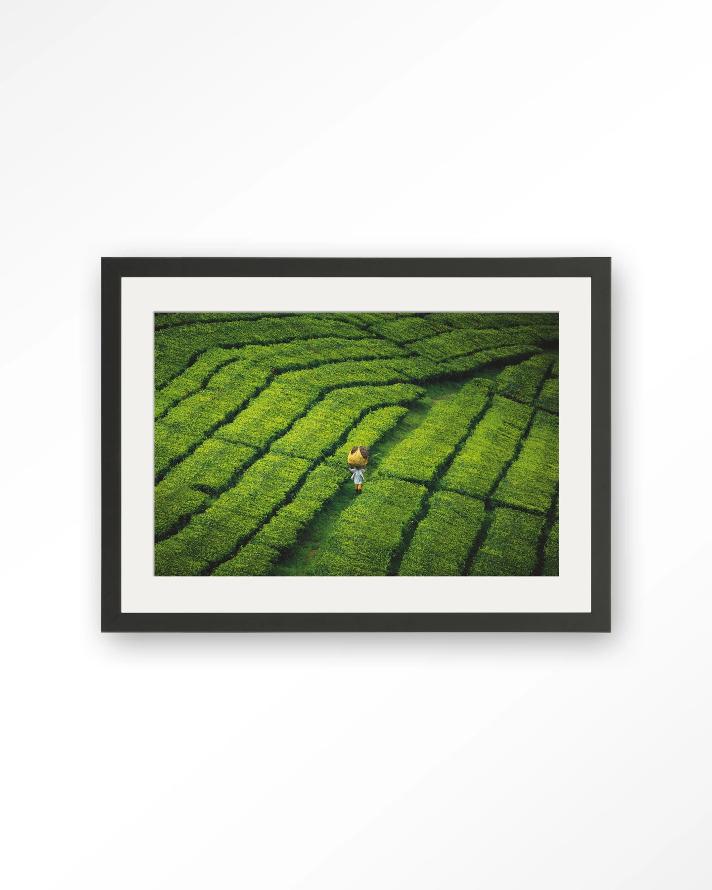 Tote pengalengan - Art print - Afbeelding 5