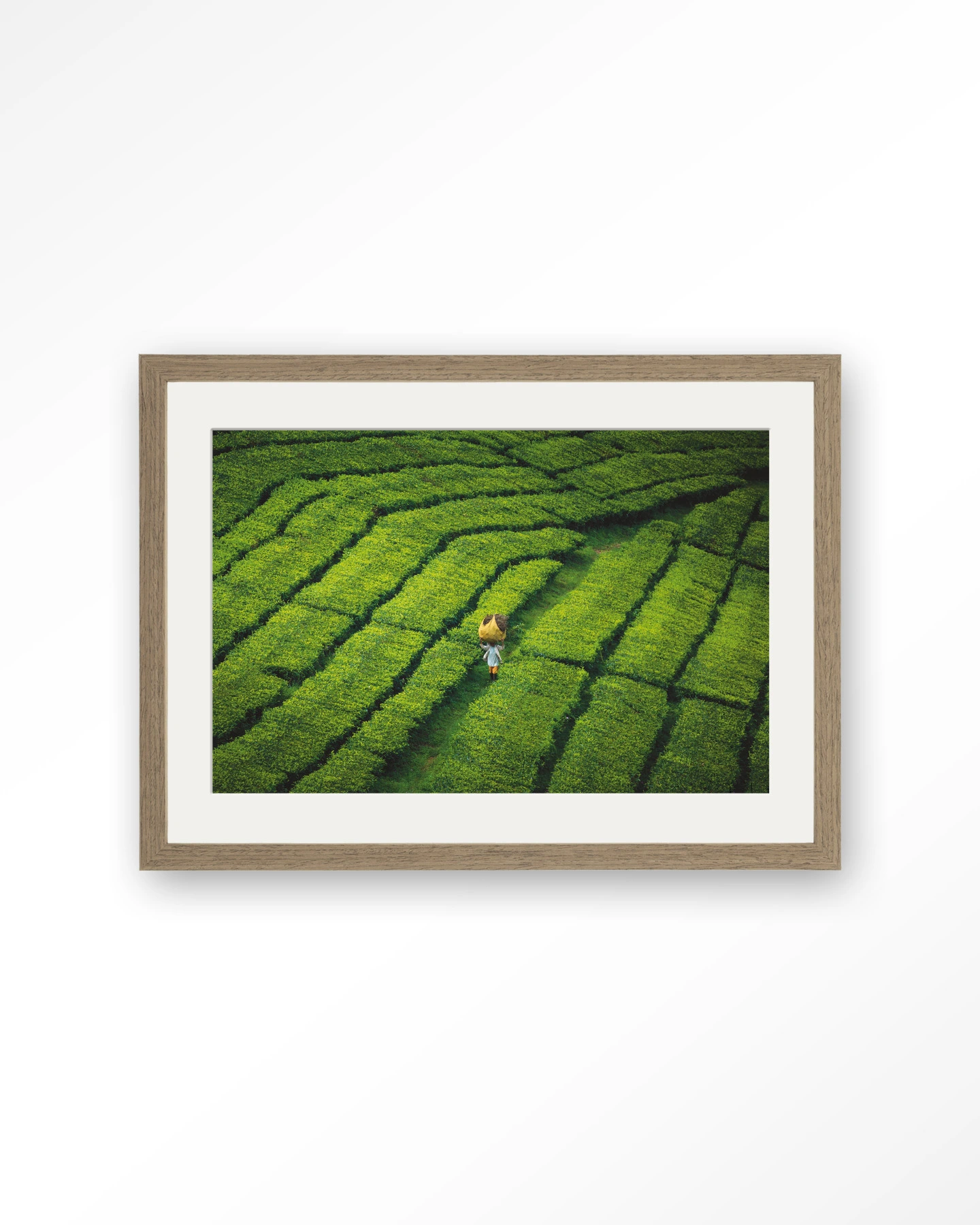 Tote pengalengan - Art print - Afbeelding 6