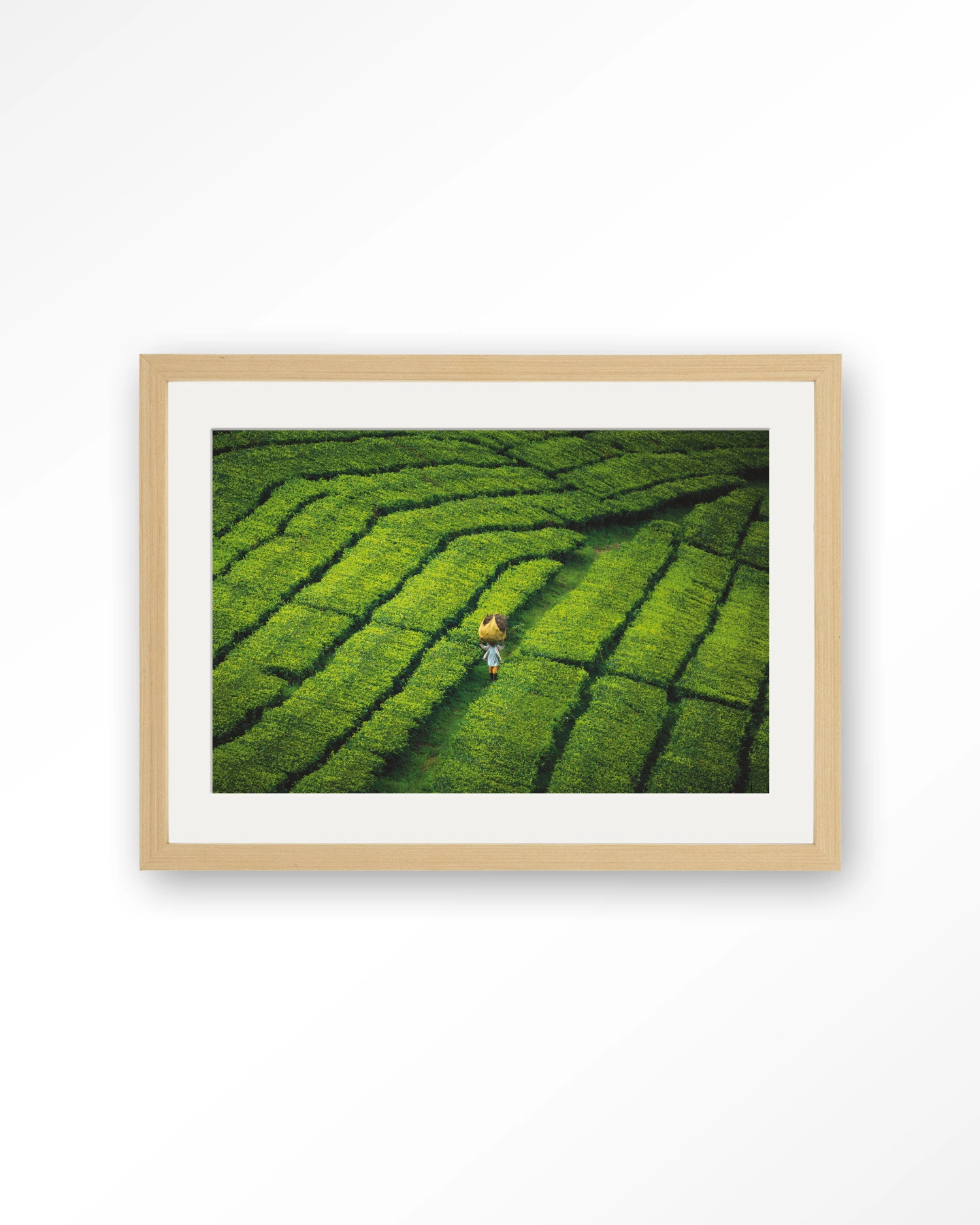 Tote pengalengan - Art print - Afbeelding 8
