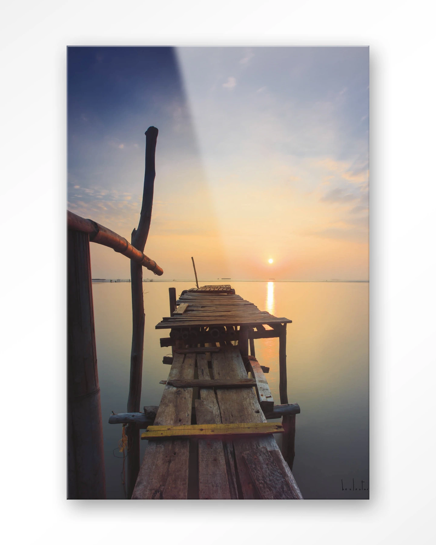 Sun shy cirebon - Glas - Afbeelding 2