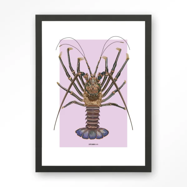 Langosta - Art print
