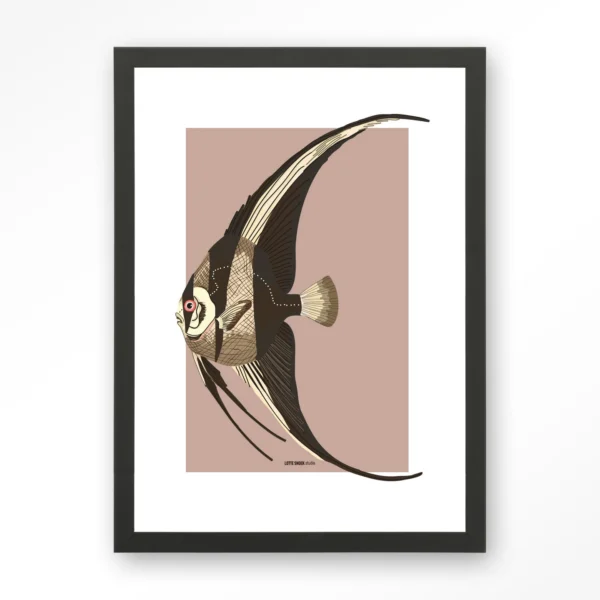 Mola Mola - Art print