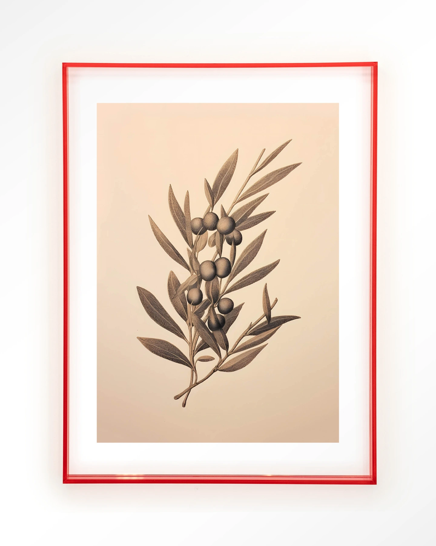 Oliva - Art print - Afbeelding 12