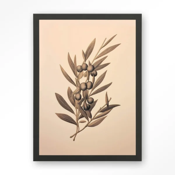 Oliva - Art print