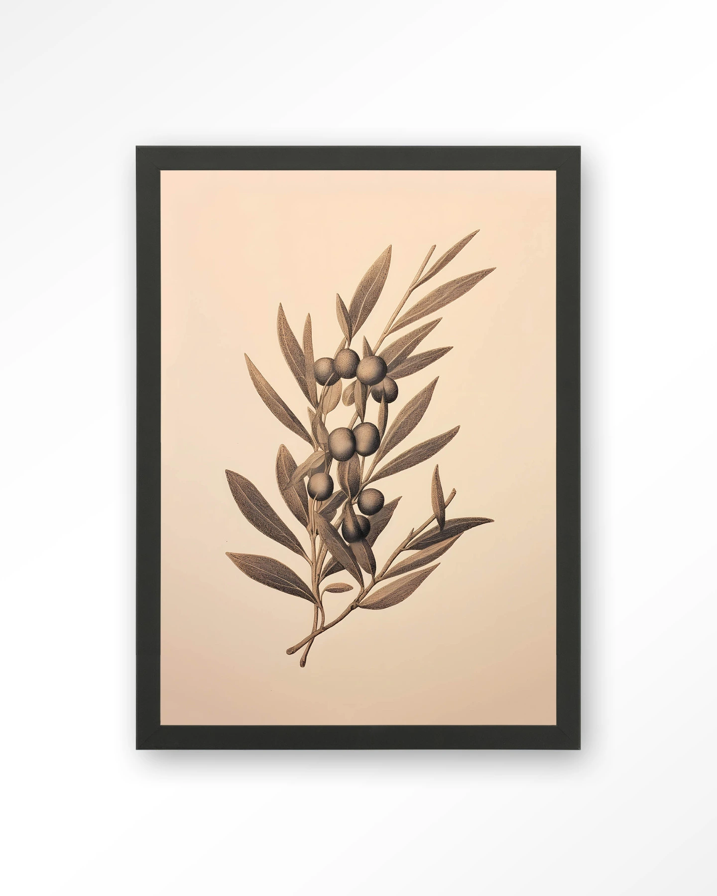 Oliva - Art print