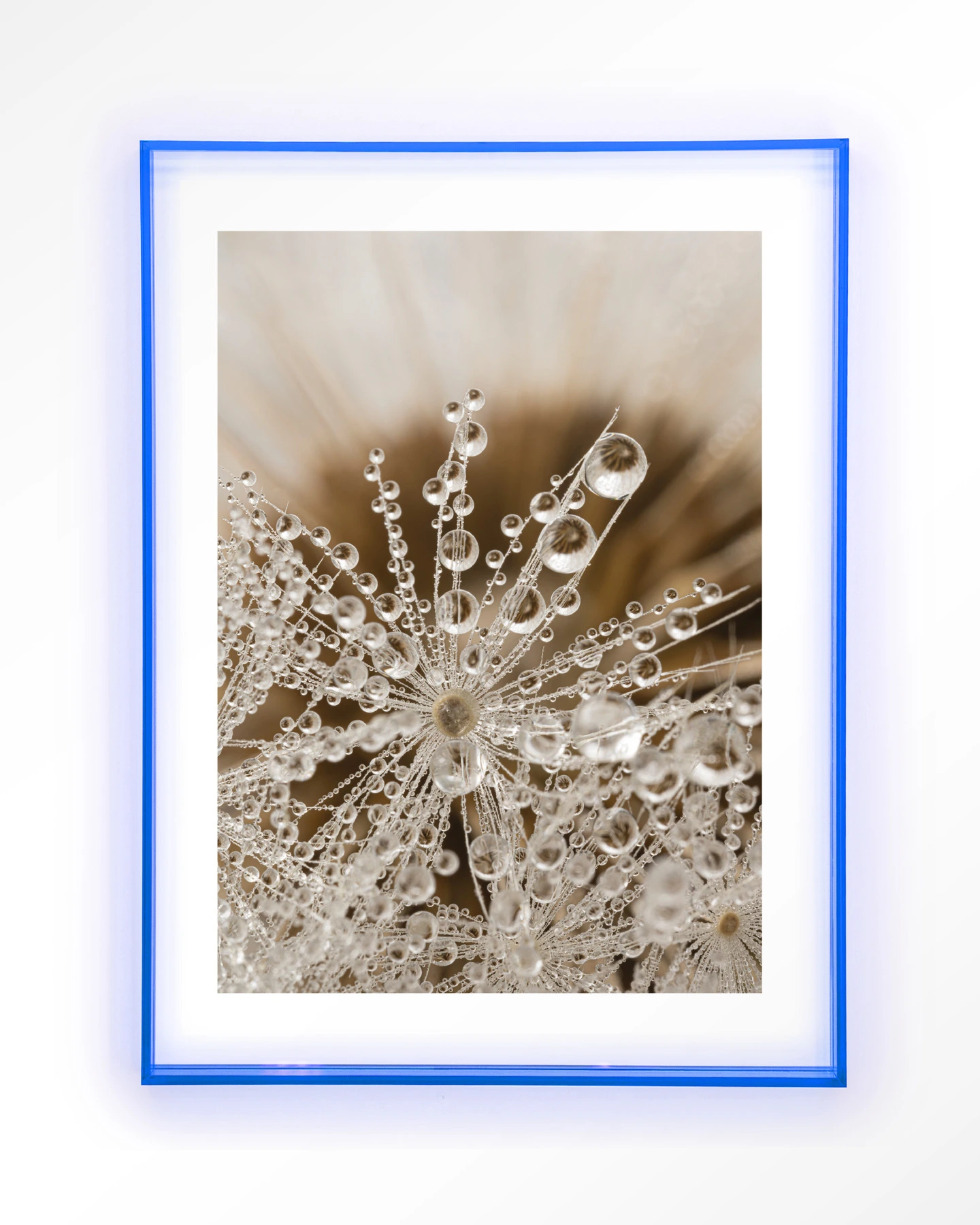 Landelijke Natuur - Art print - Afbeelding 11