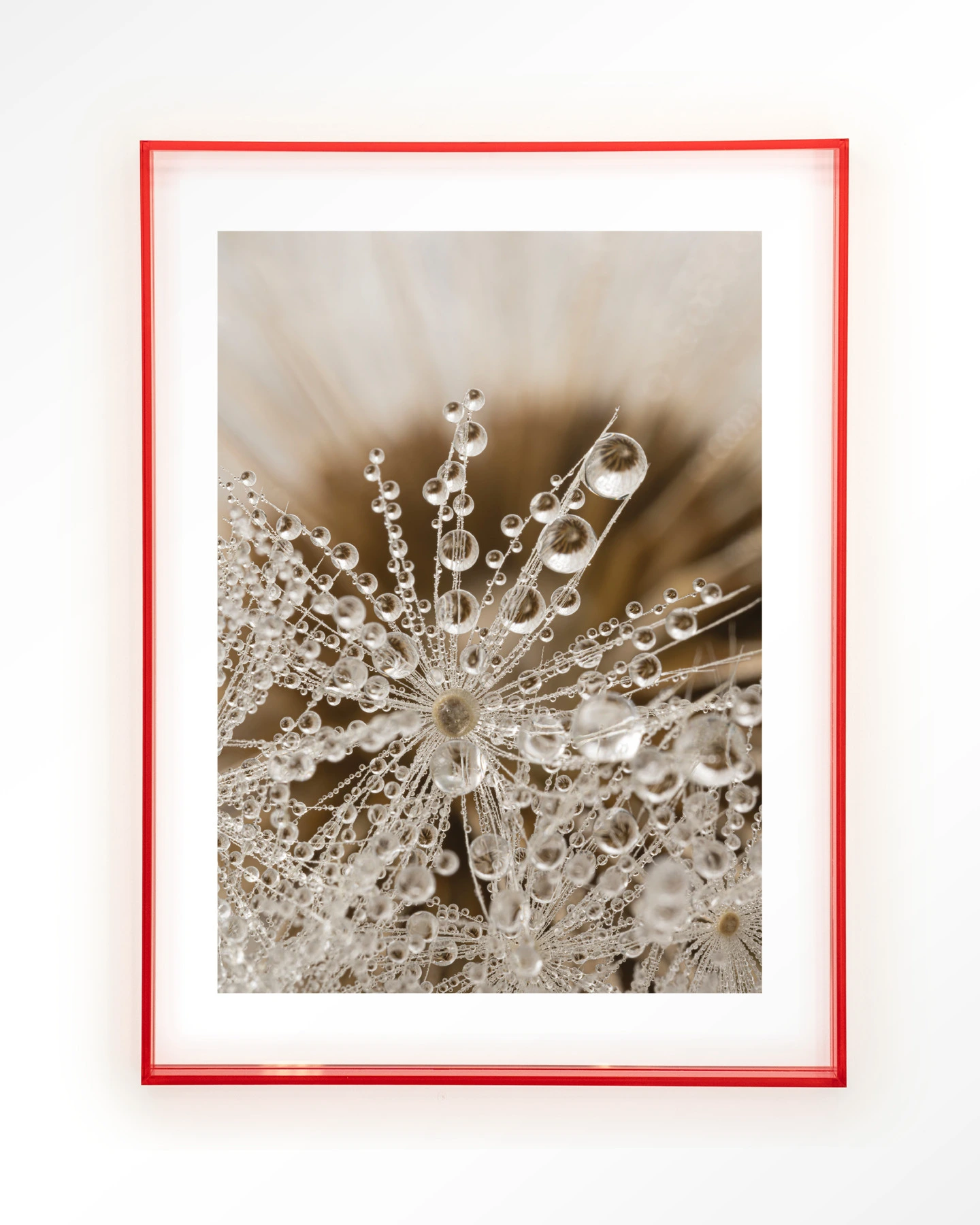 Landelijke Natuur - Art print - Afbeelding 12