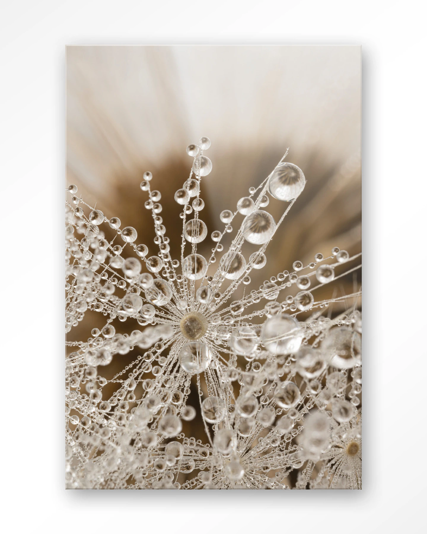 Landelijke Natuur - Glas - Afbeelding 2