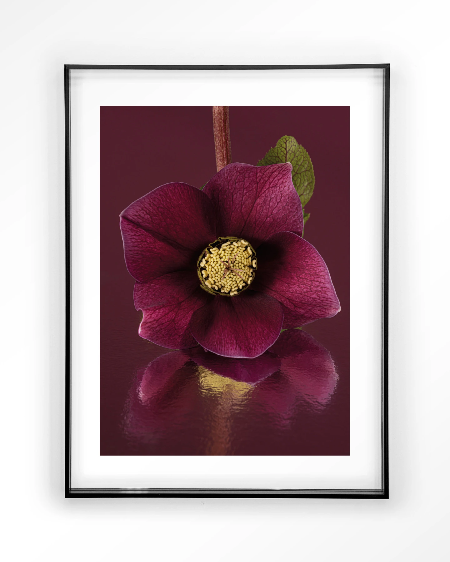 De Elegantie Van De Kerstroos - Art print - Afbeelding 9