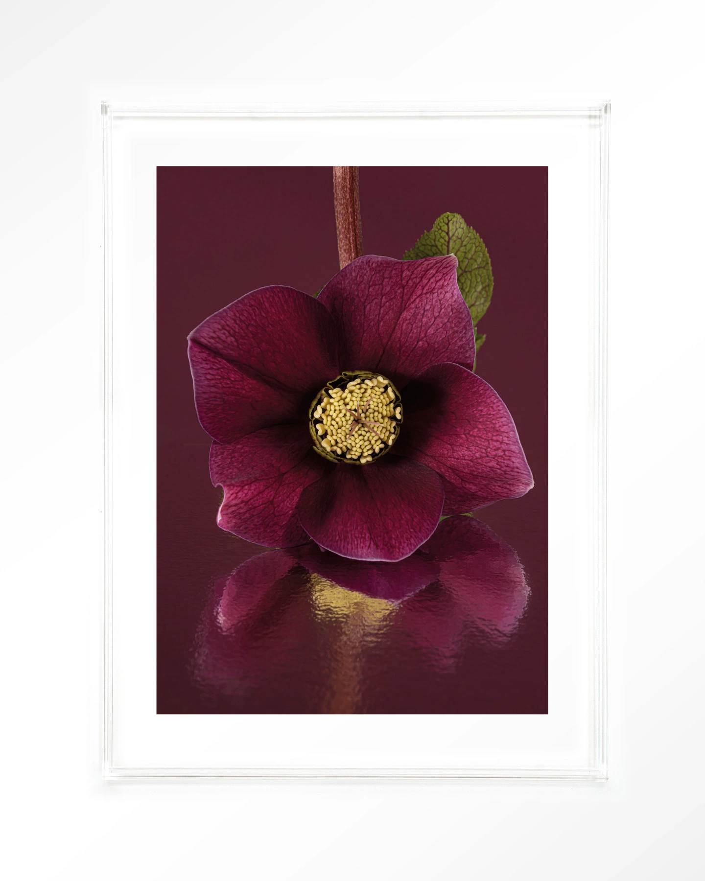 De Elegantie Van De Kerstroos - Art print - Afbeelding 10