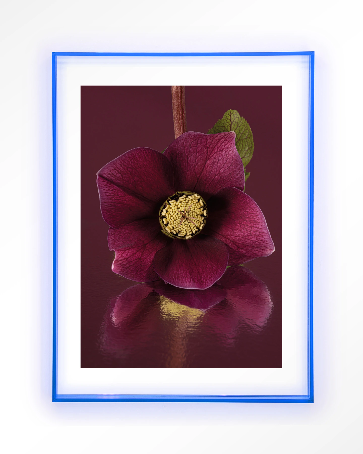 De Elegantie Van De Kerstroos - Art print - Afbeelding 11