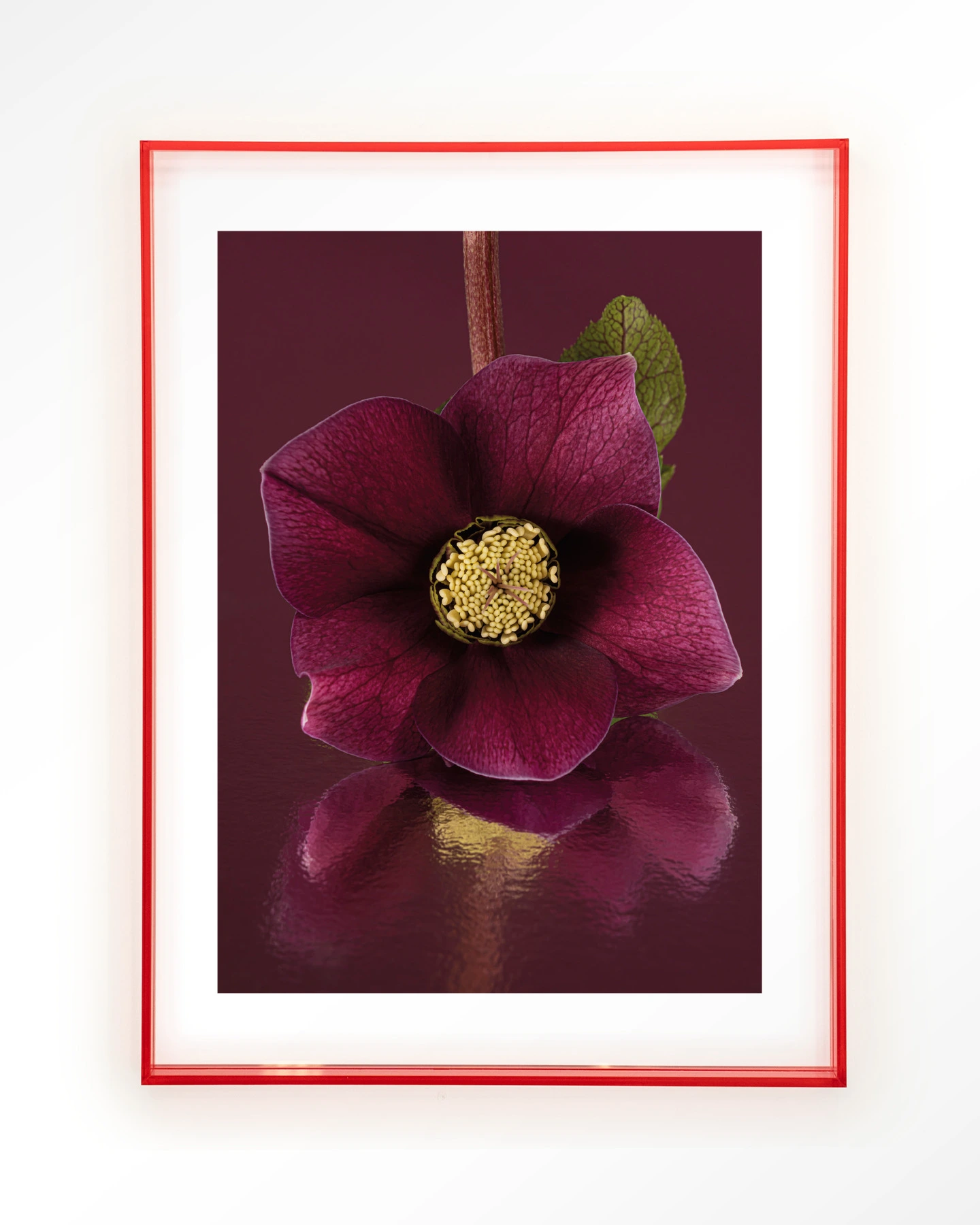 De Elegantie Van De Kerstroos - Art print - Afbeelding 12