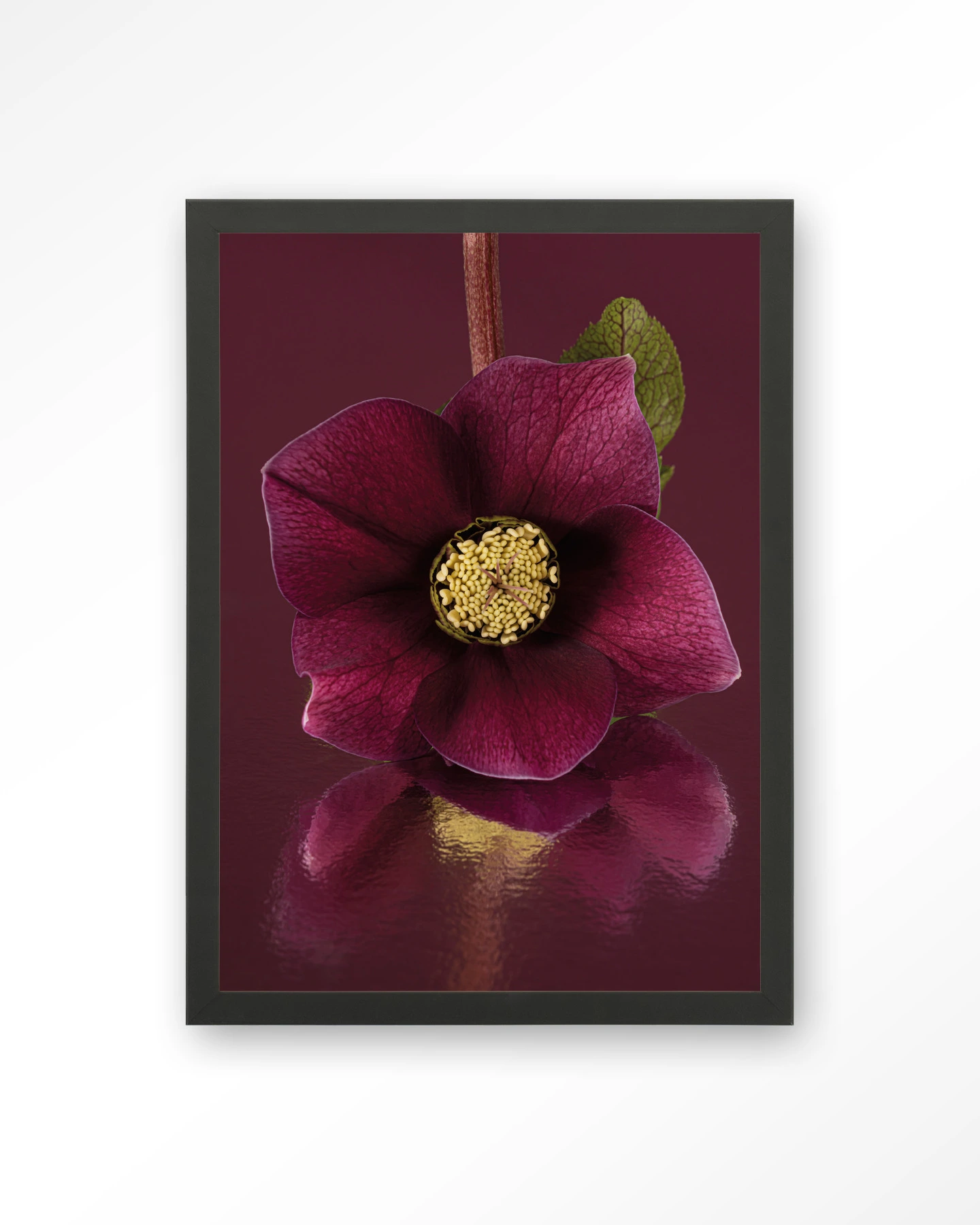 De Elegantie Van De Kerstroos - Art print