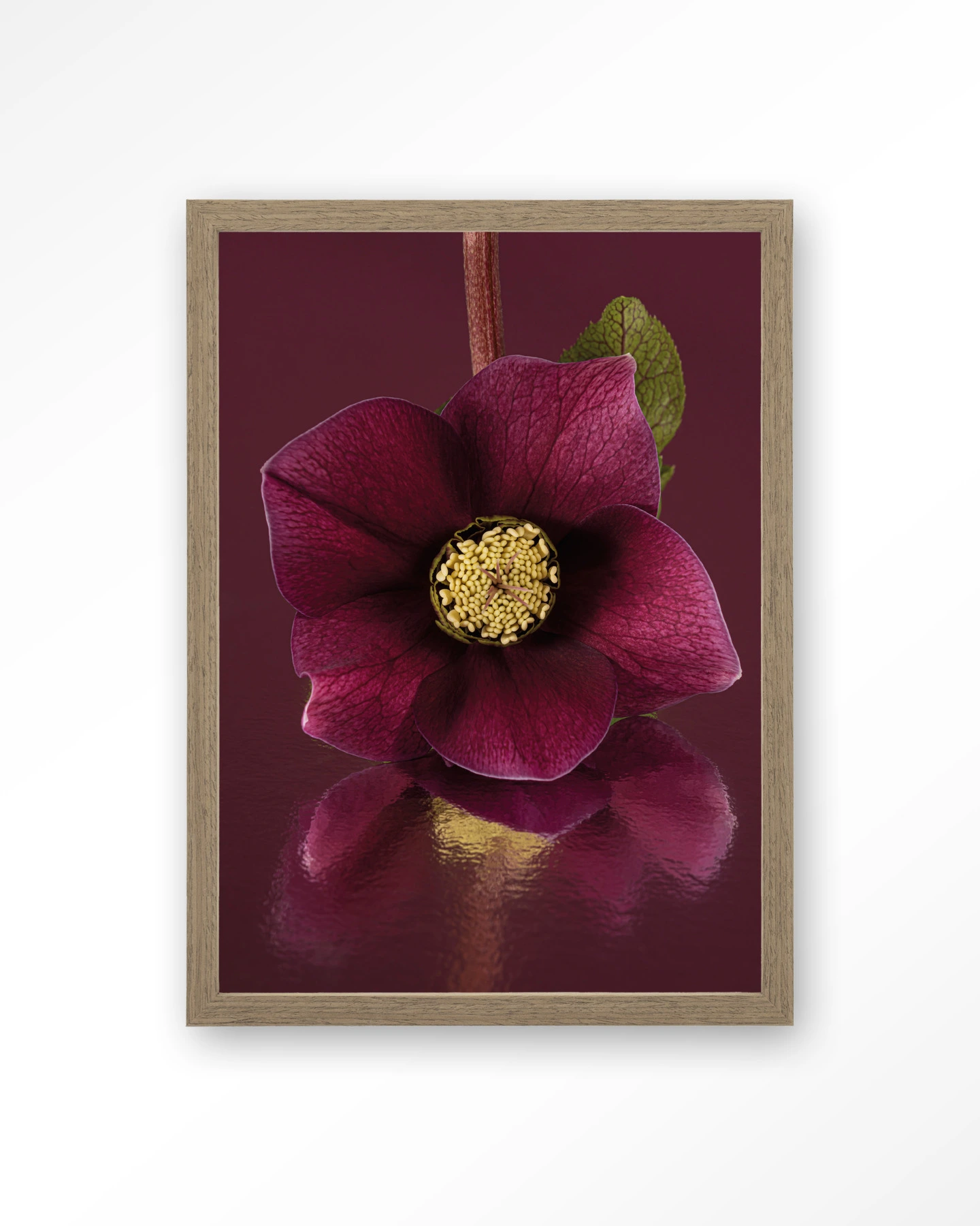 De Elegantie Van De Kerstroos - Art print - Afbeelding 2
