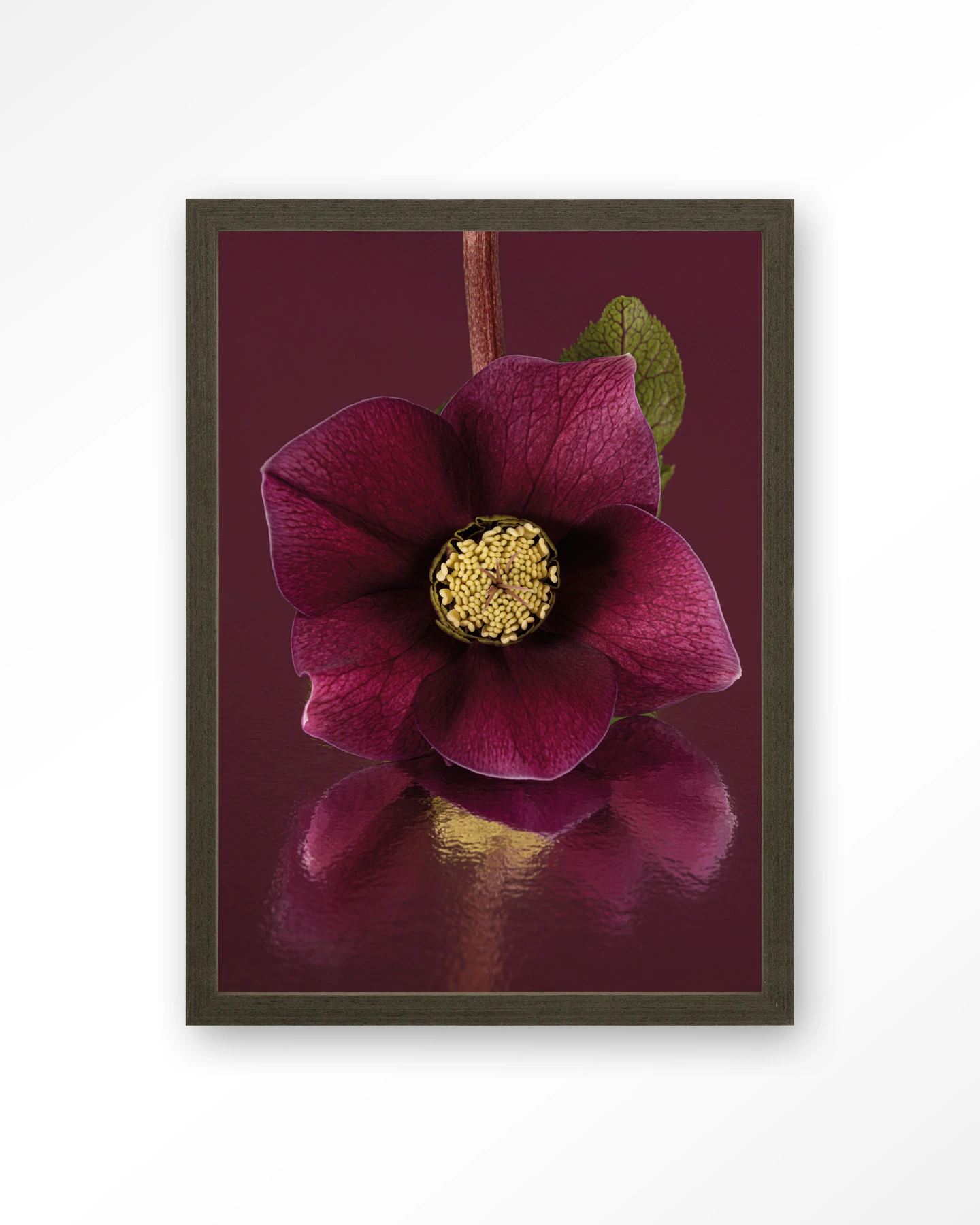 De Elegantie Van De Kerstroos - Art print - Afbeelding 3