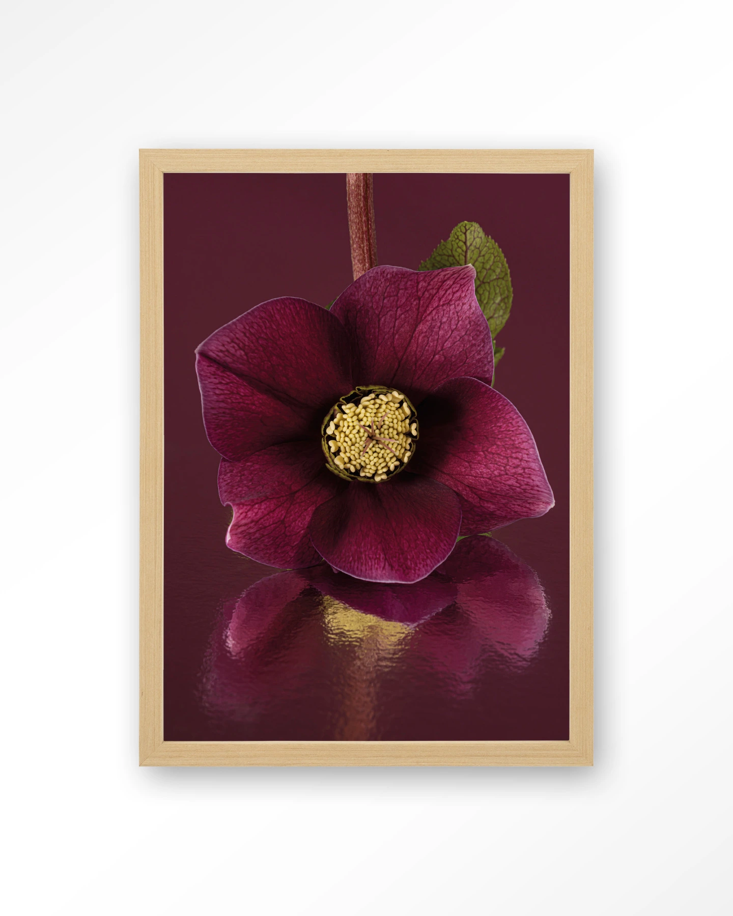 De Elegantie Van De Kerstroos - Art print - Afbeelding 4