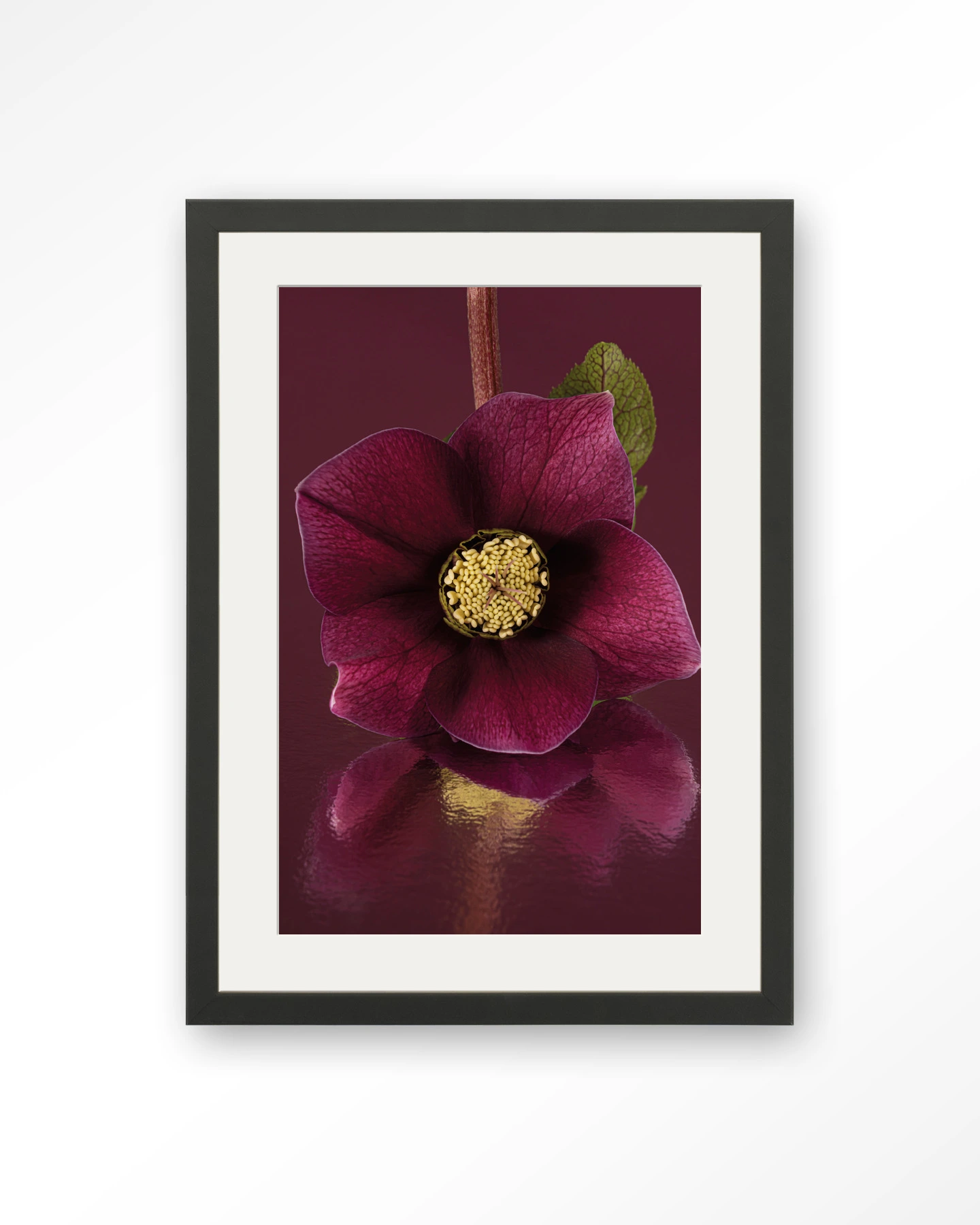 De Elegantie Van De Kerstroos - Art print - Afbeelding 5