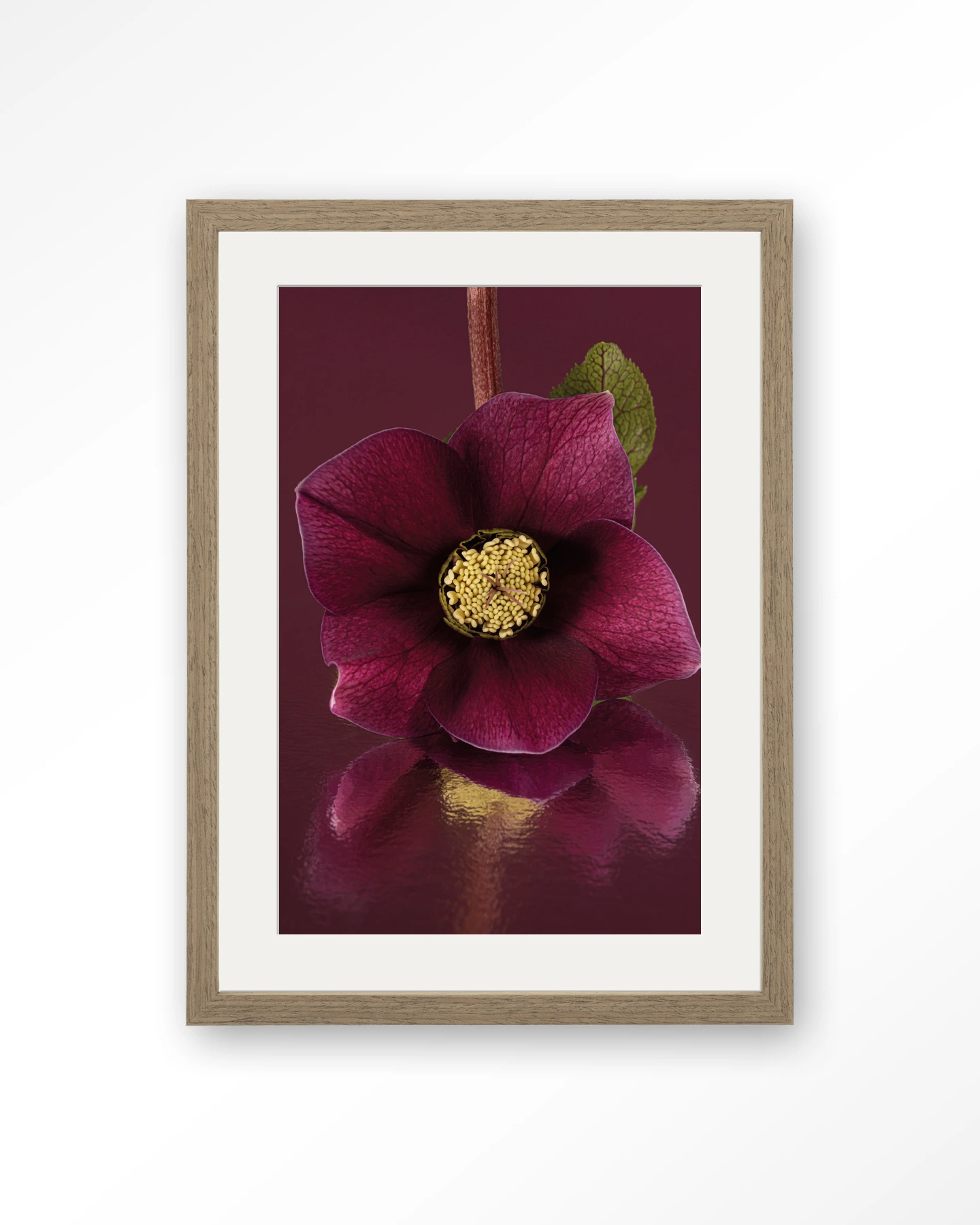 De Elegantie Van De Kerstroos - Art print - Afbeelding 6