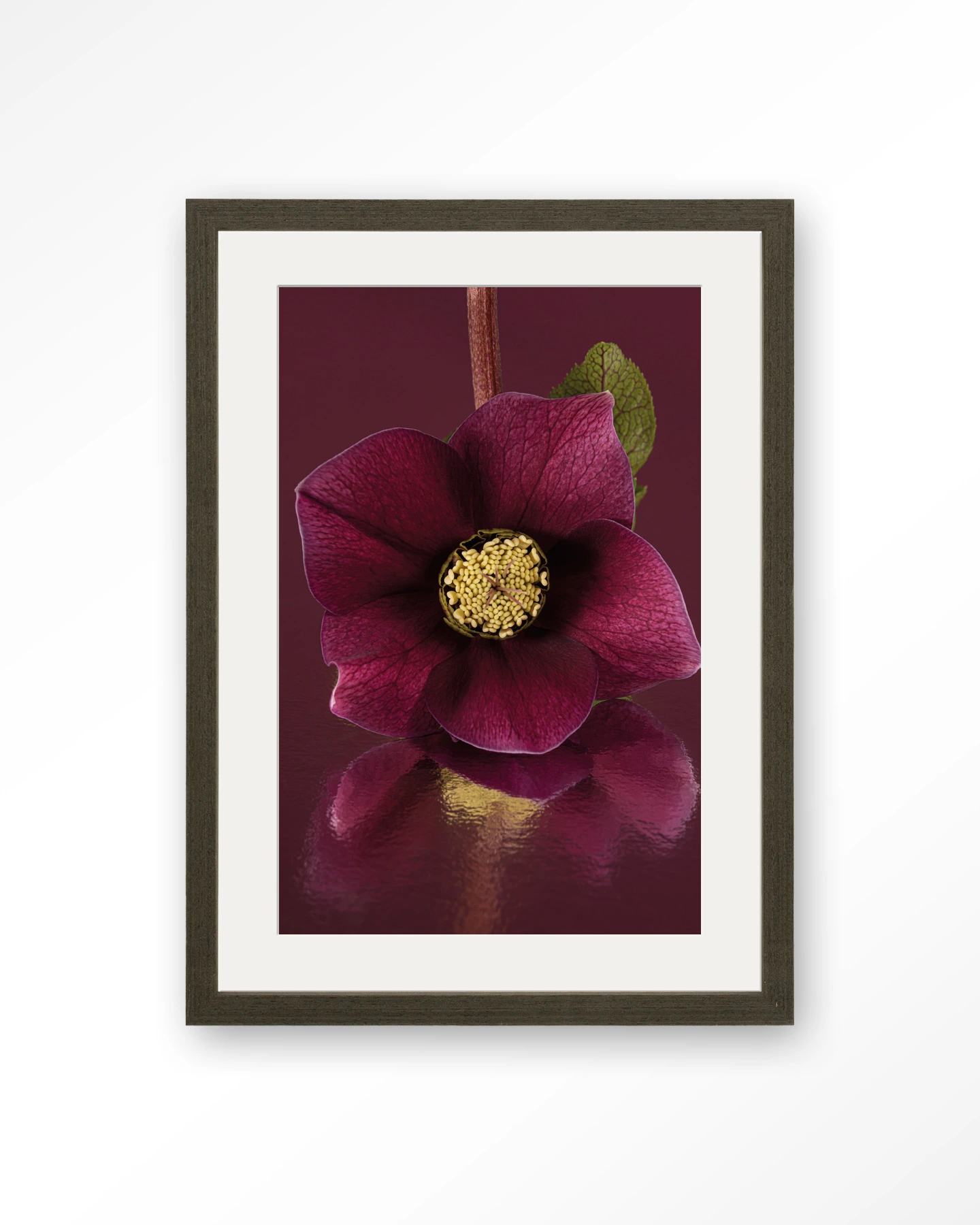 De Elegantie Van De Kerstroos - Art print - Afbeelding 7
