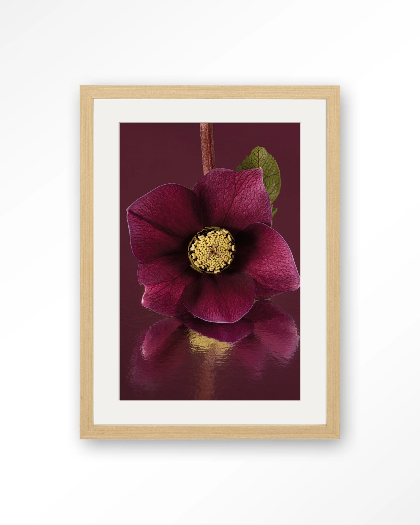 De Elegantie Van De Kerstroos - Art print - Afbeelding 8