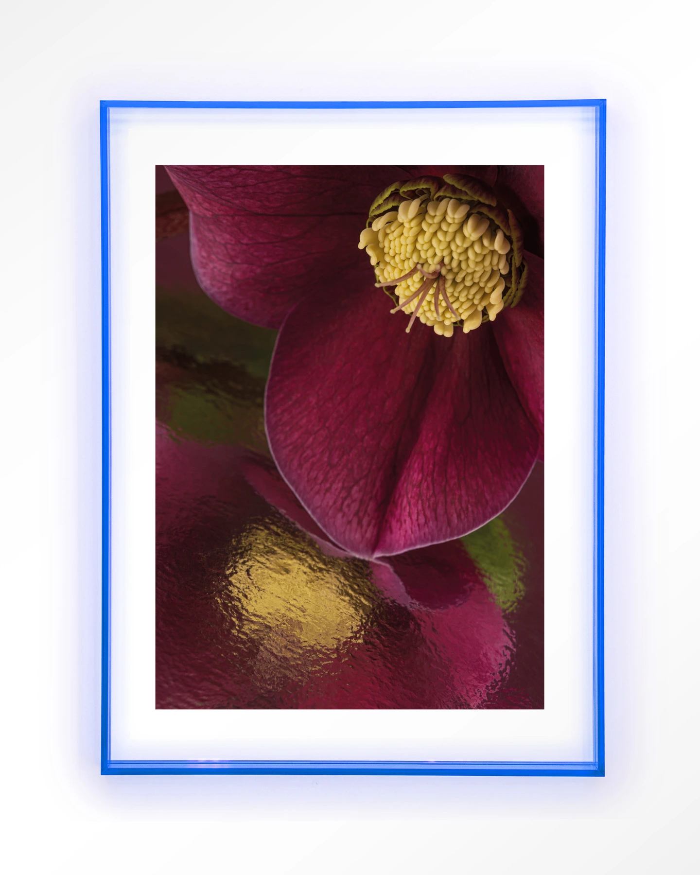 Weerspiegeling Van Een Kerstroos - Art print - Afbeelding 11