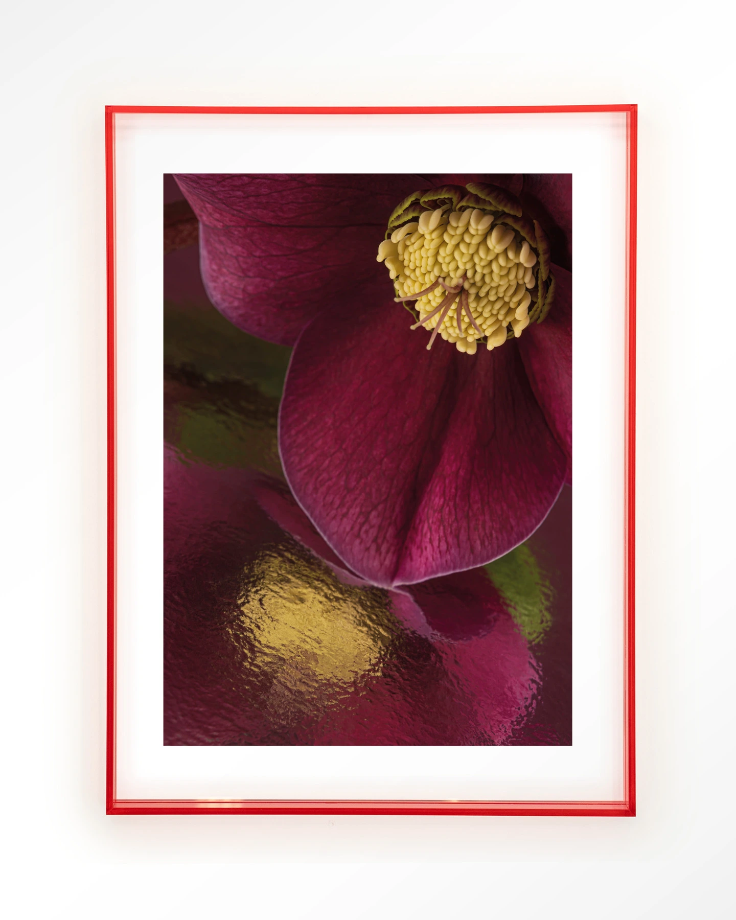 Weerspiegeling Van Een Kerstroos - Art print - Afbeelding 12