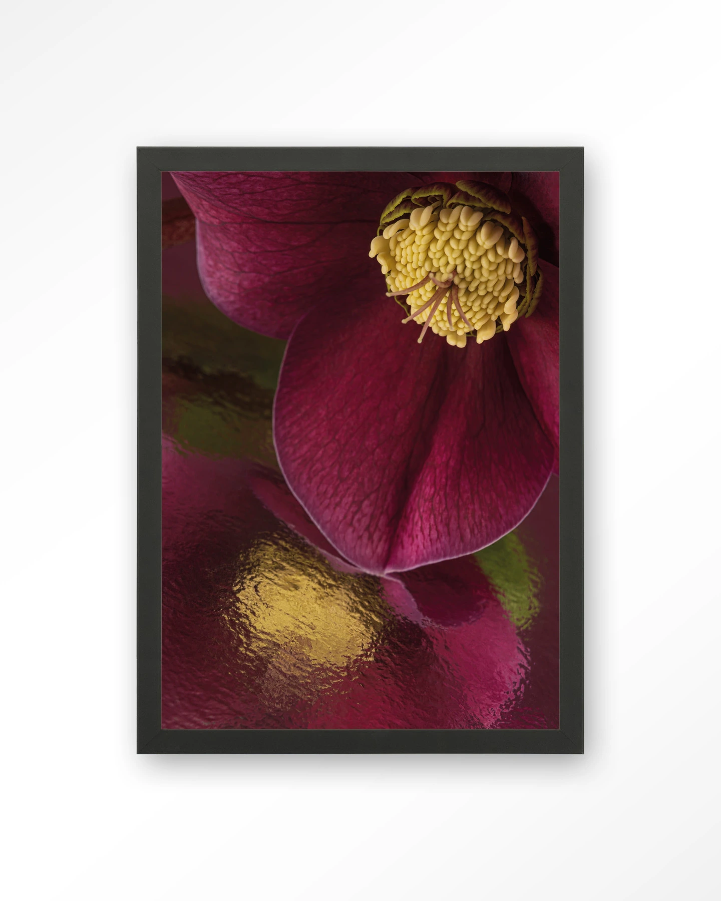 Weerspiegeling Van Een Kerstroos - Art print
