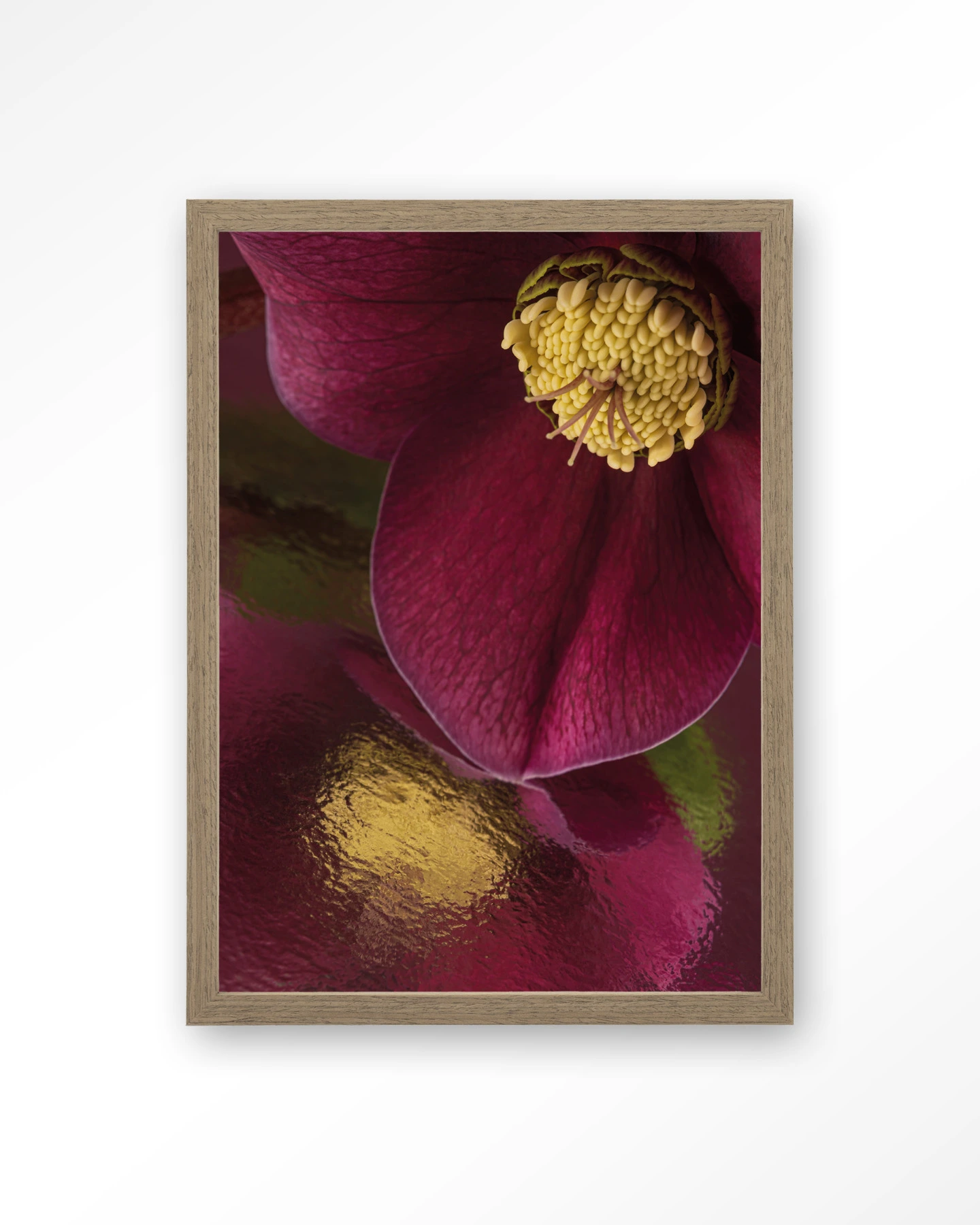 Weerspiegeling Van Een Kerstroos - Art print - Afbeelding 2