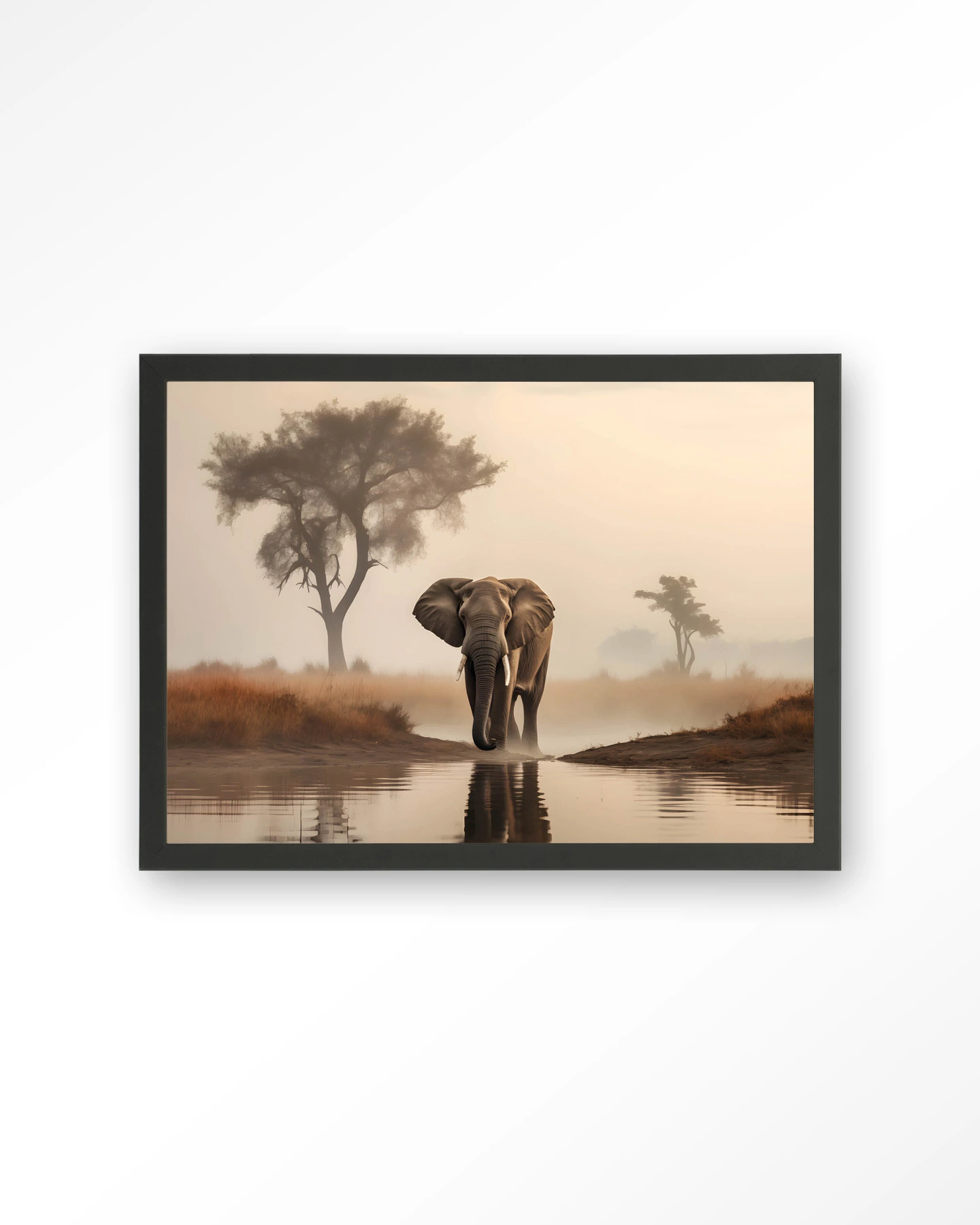 Savannah Elephant - Art print