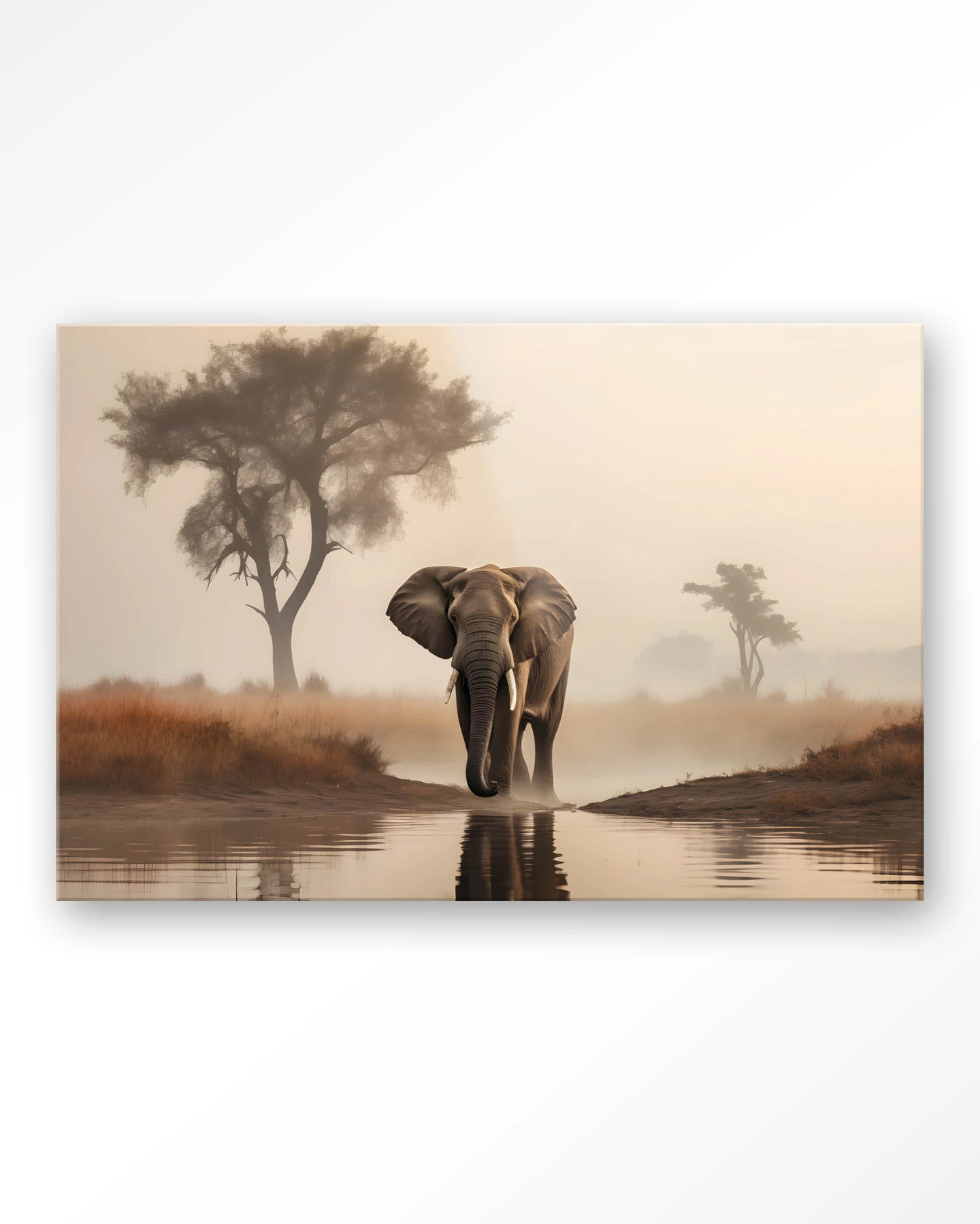 Savannah Elephant - Glas