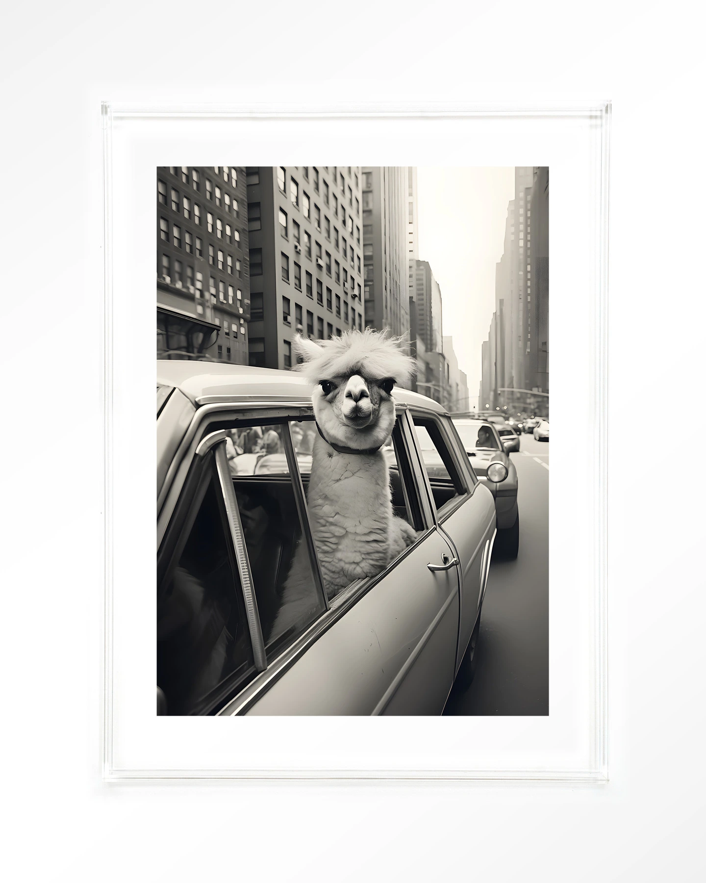 Alpaca In NY - Art print - Afbeelding 10