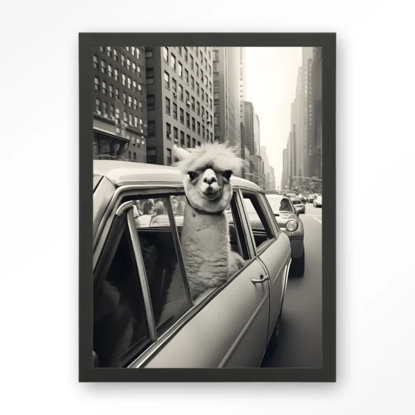 Alpaca In NY - Art print