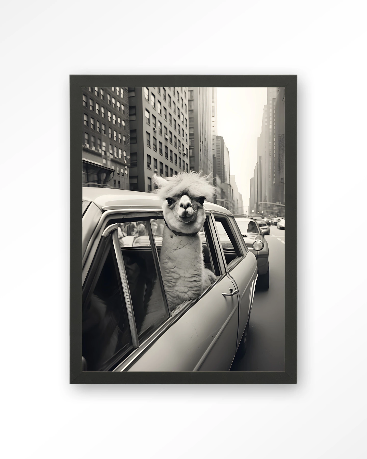 Alpaca In NY - Art print