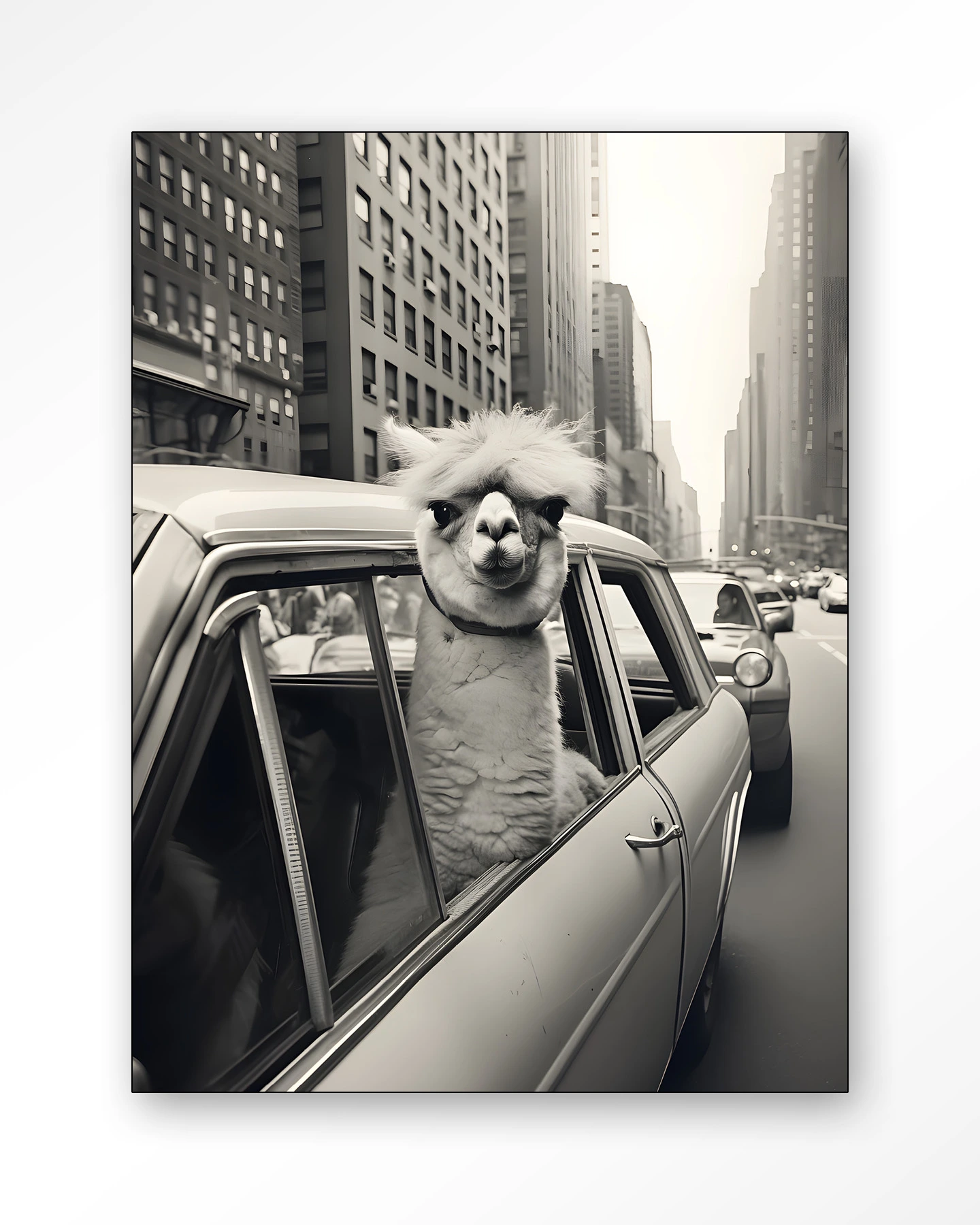 Alpaca In NY - Wandkleed - Afbeelding 6