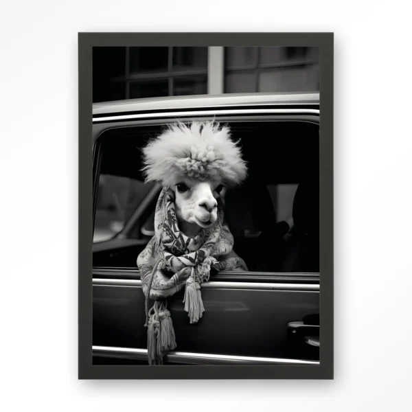 Alpaca In Taxi - Art print