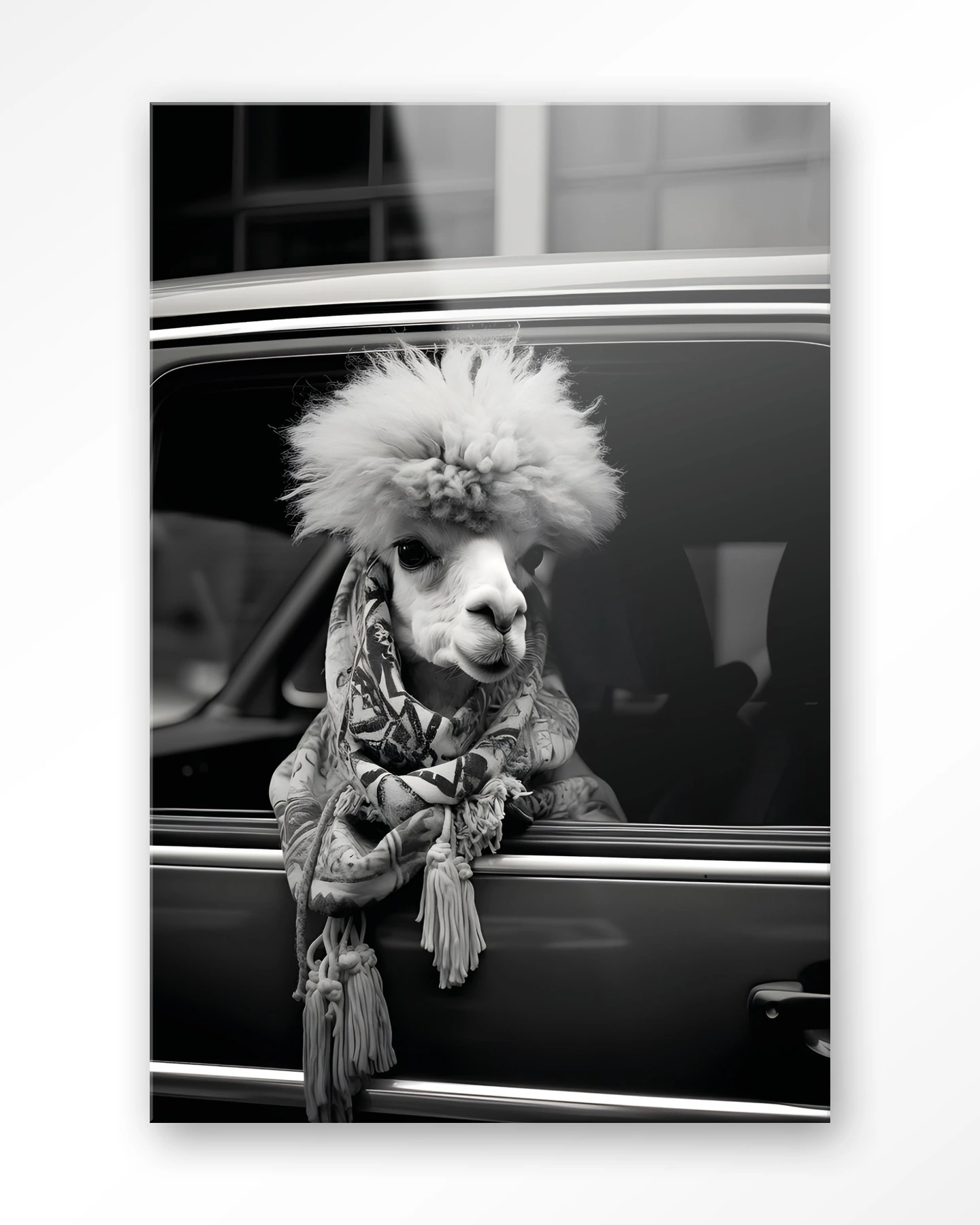 Alpaca In Taxi - Glas - Afbeelding 2