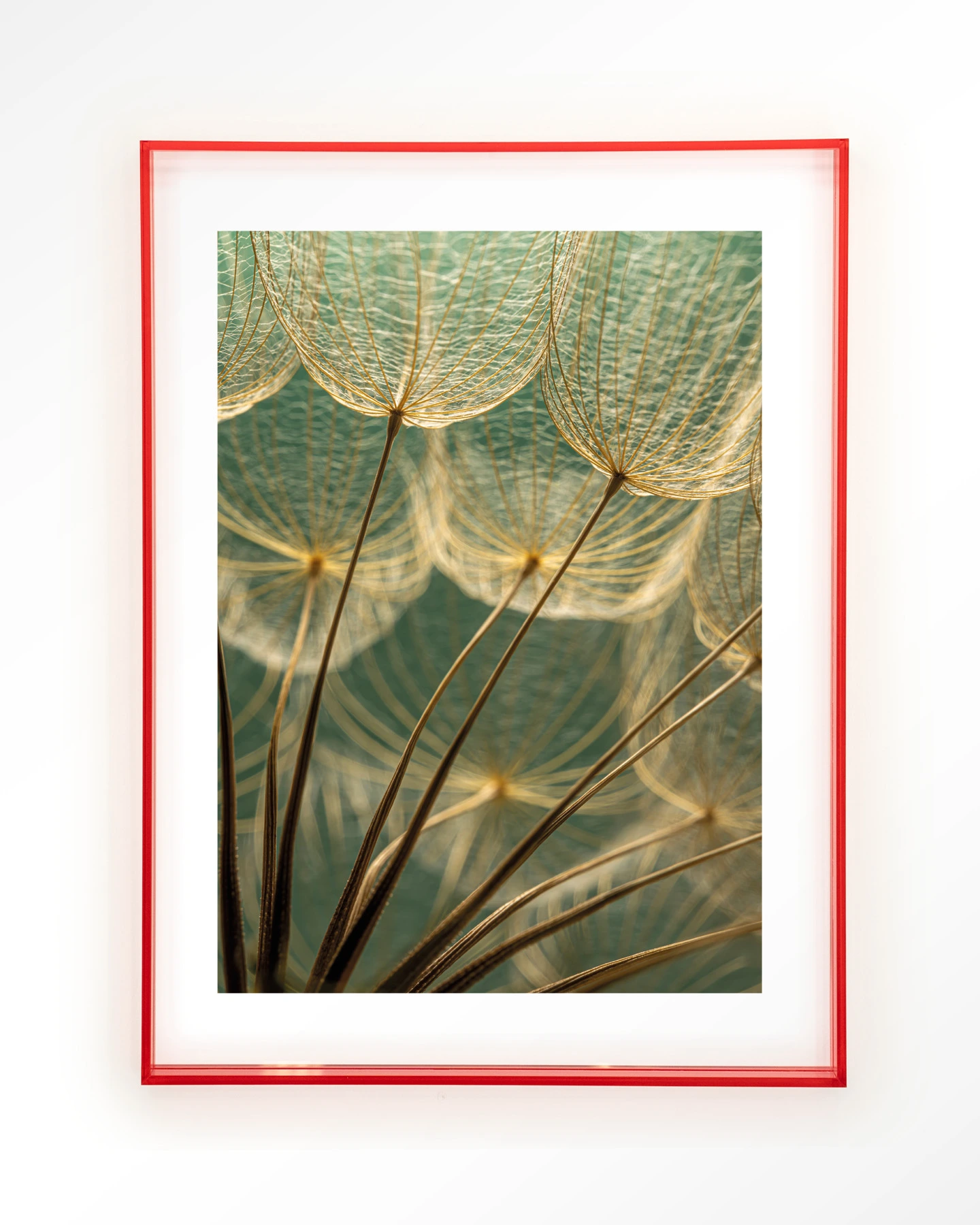 Van Abstractie Tot Detail - Art print - Afbeelding 12
