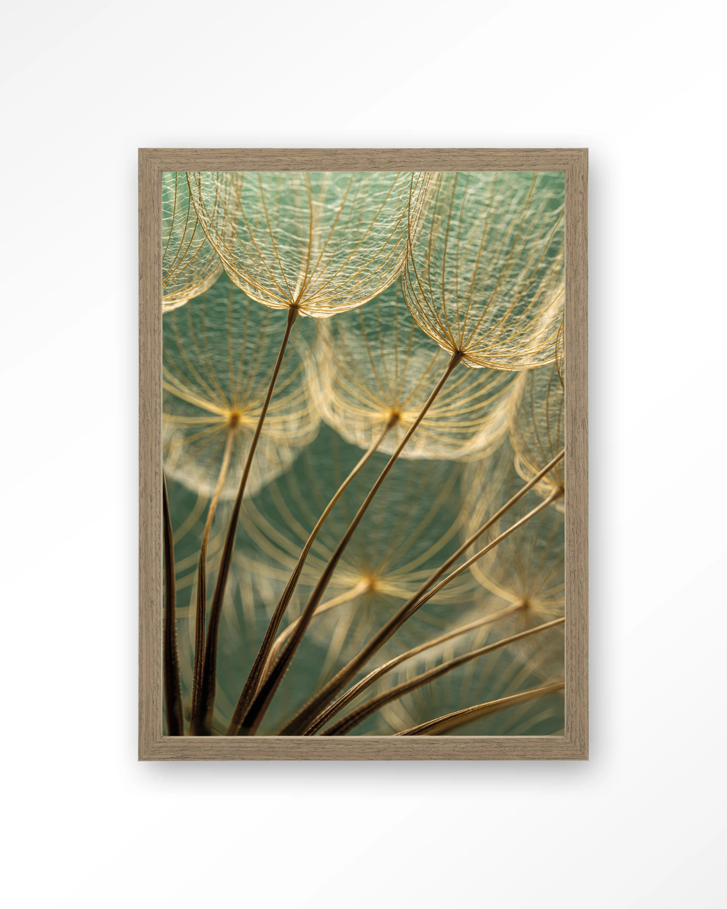 Van Abstractie Tot Detail - Art print - Afbeelding 2