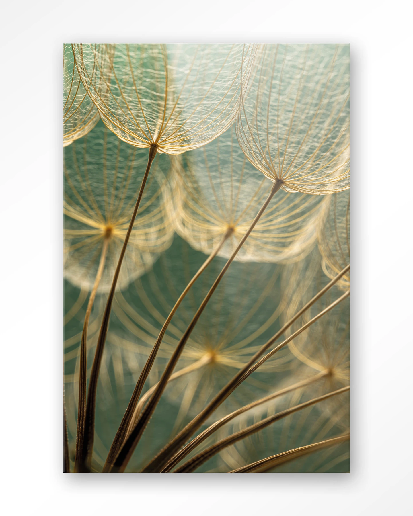 Van Abstractie Tot Detail - Glas - Afbeelding 2